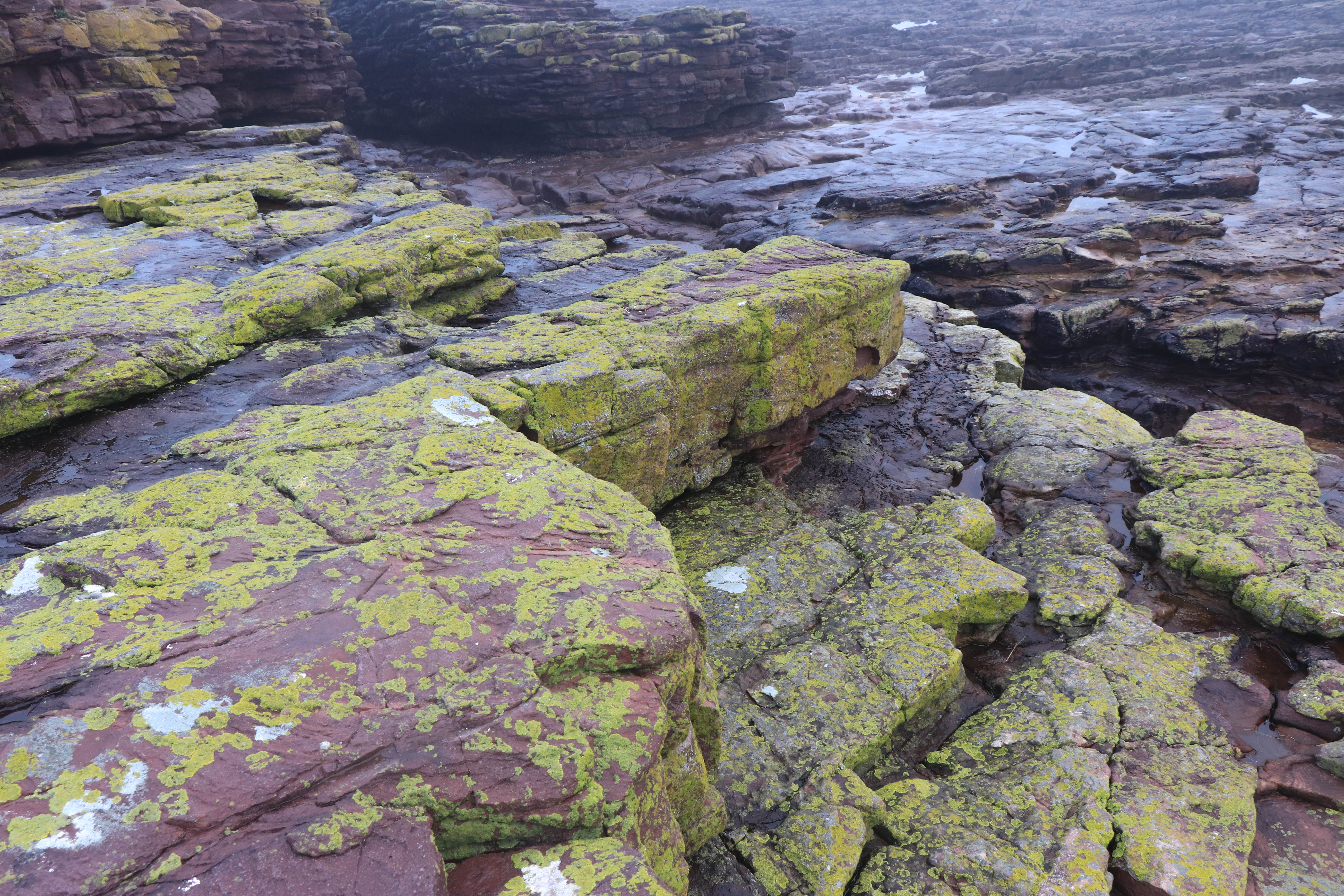 houses of the holly, 6 fevr 19, 16h22