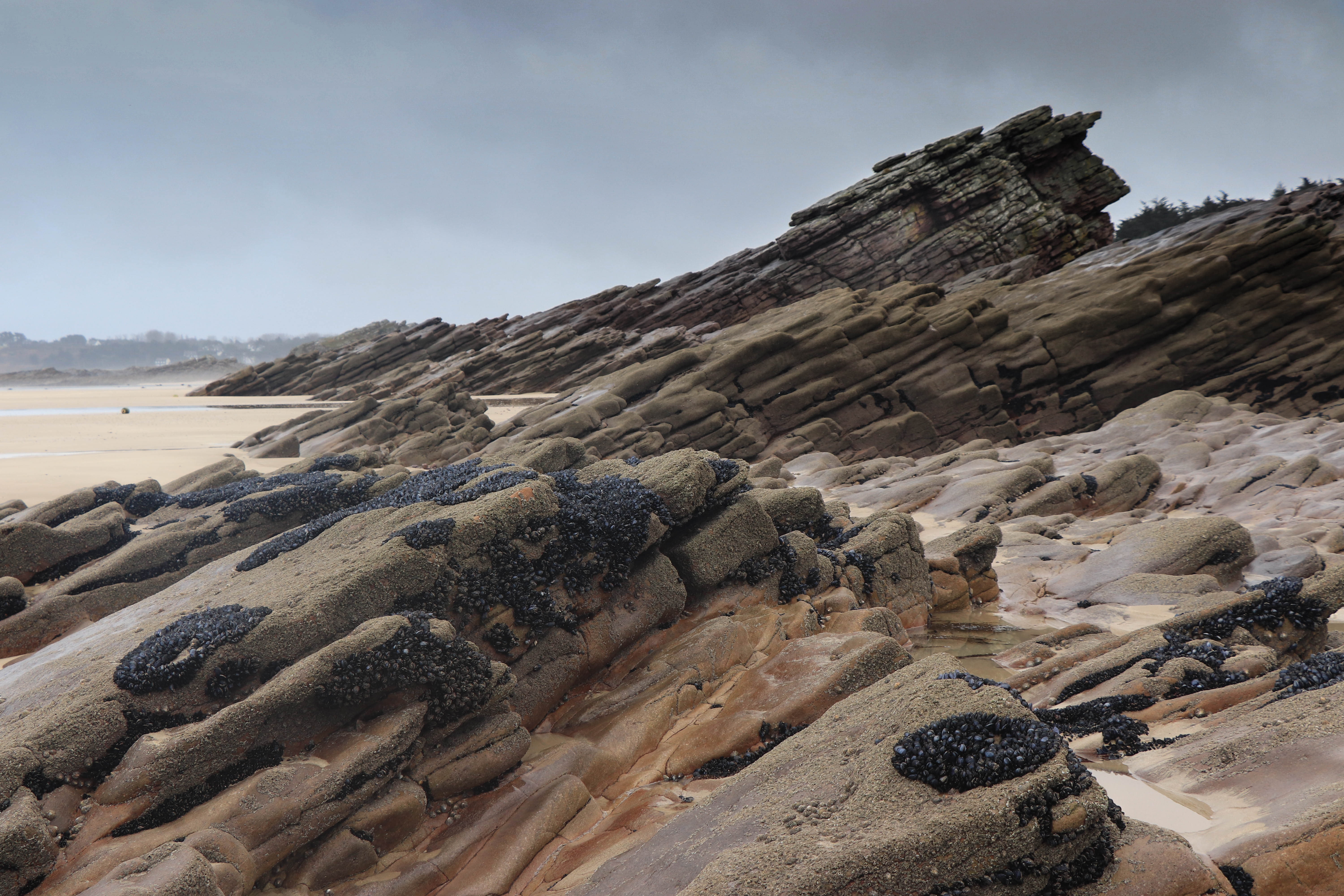 Plage st michel, les sables d'or, 6 févr 19, 11h58