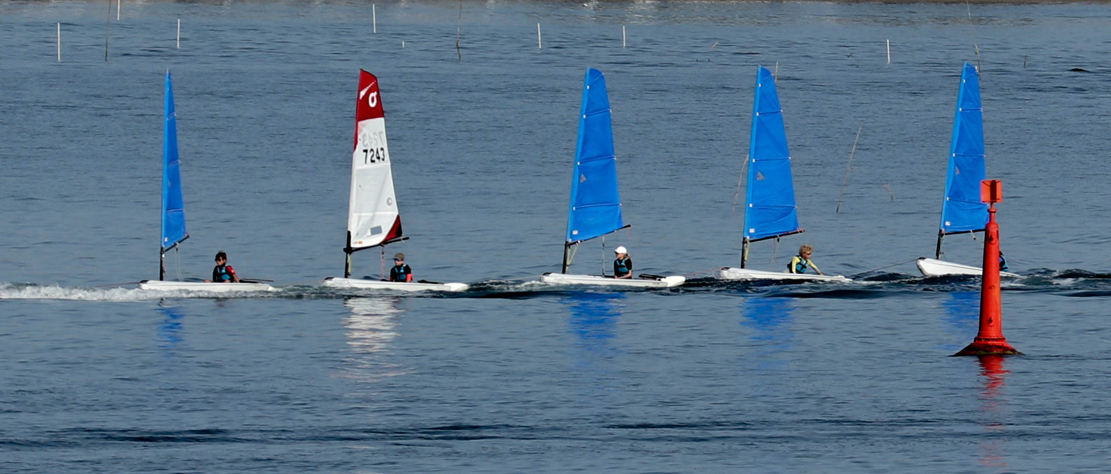 ribambelle, la trin', 6 août 18, 8h58.jpg