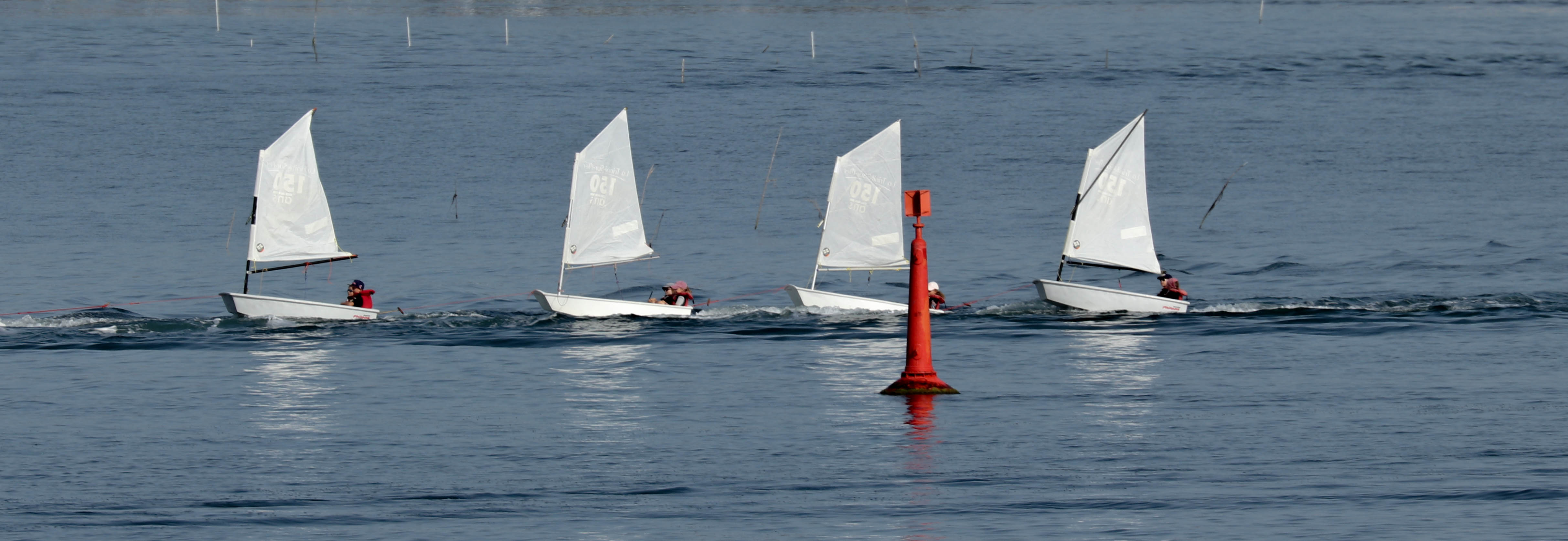 ribambelle, la trinité s-mer, 6 août 19, 8h59-08.jpg