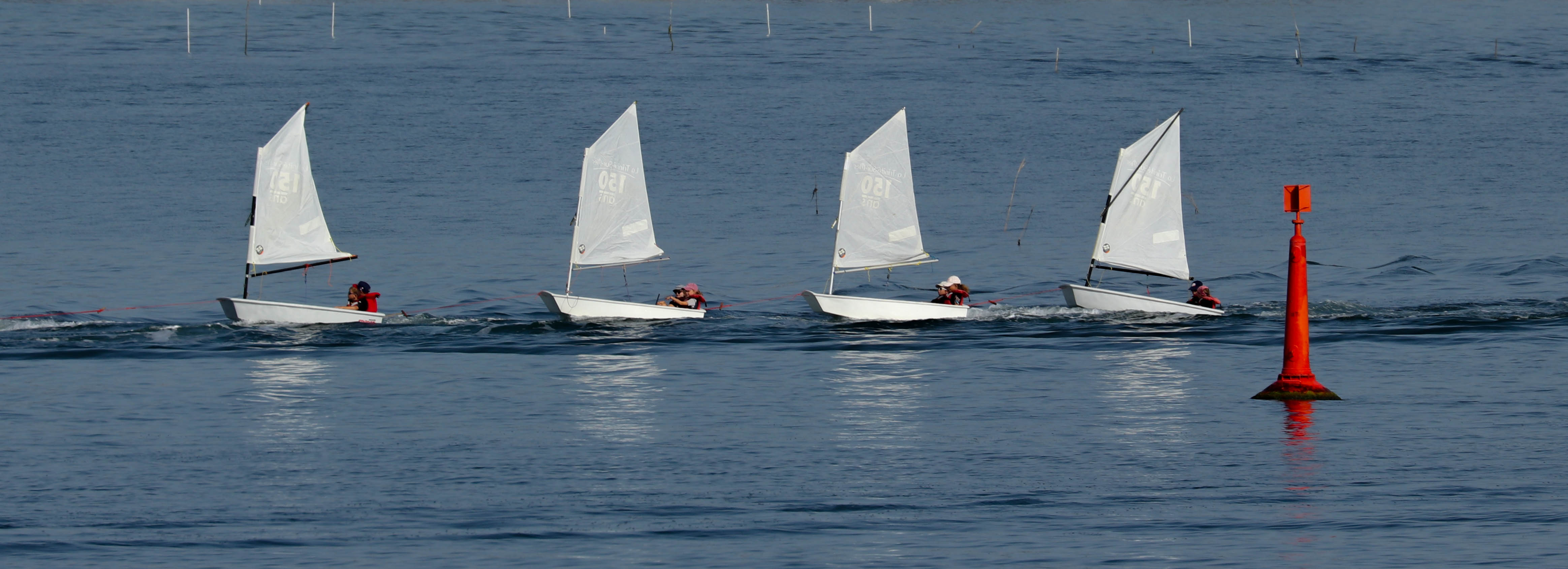 ribambelle, la trinité s-mer, 6 août 19, 8h59-10.jpg