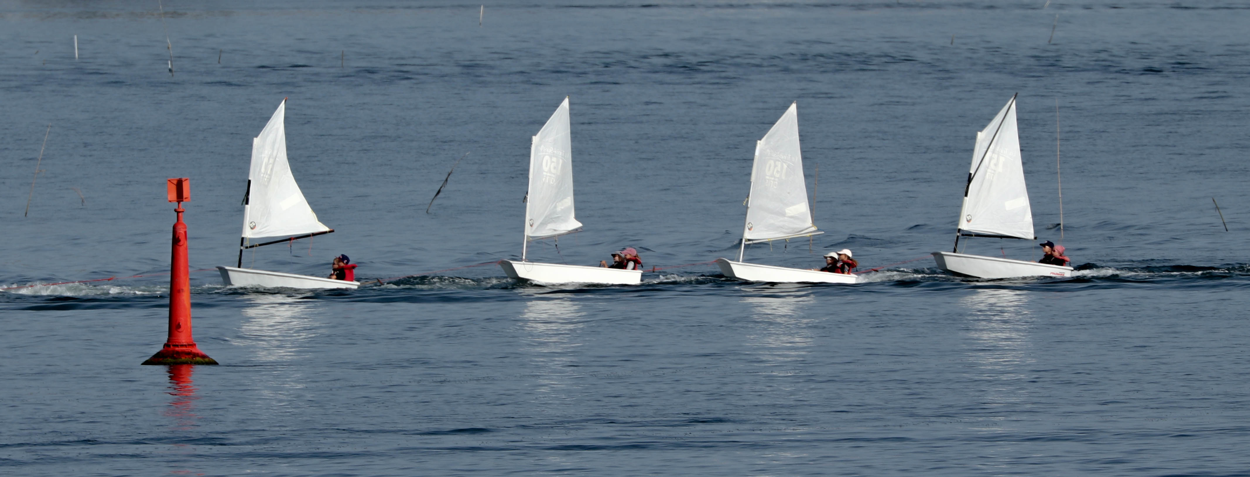 ribambelle, la trinité s-mer, 6 août 19, 8h59.jpg