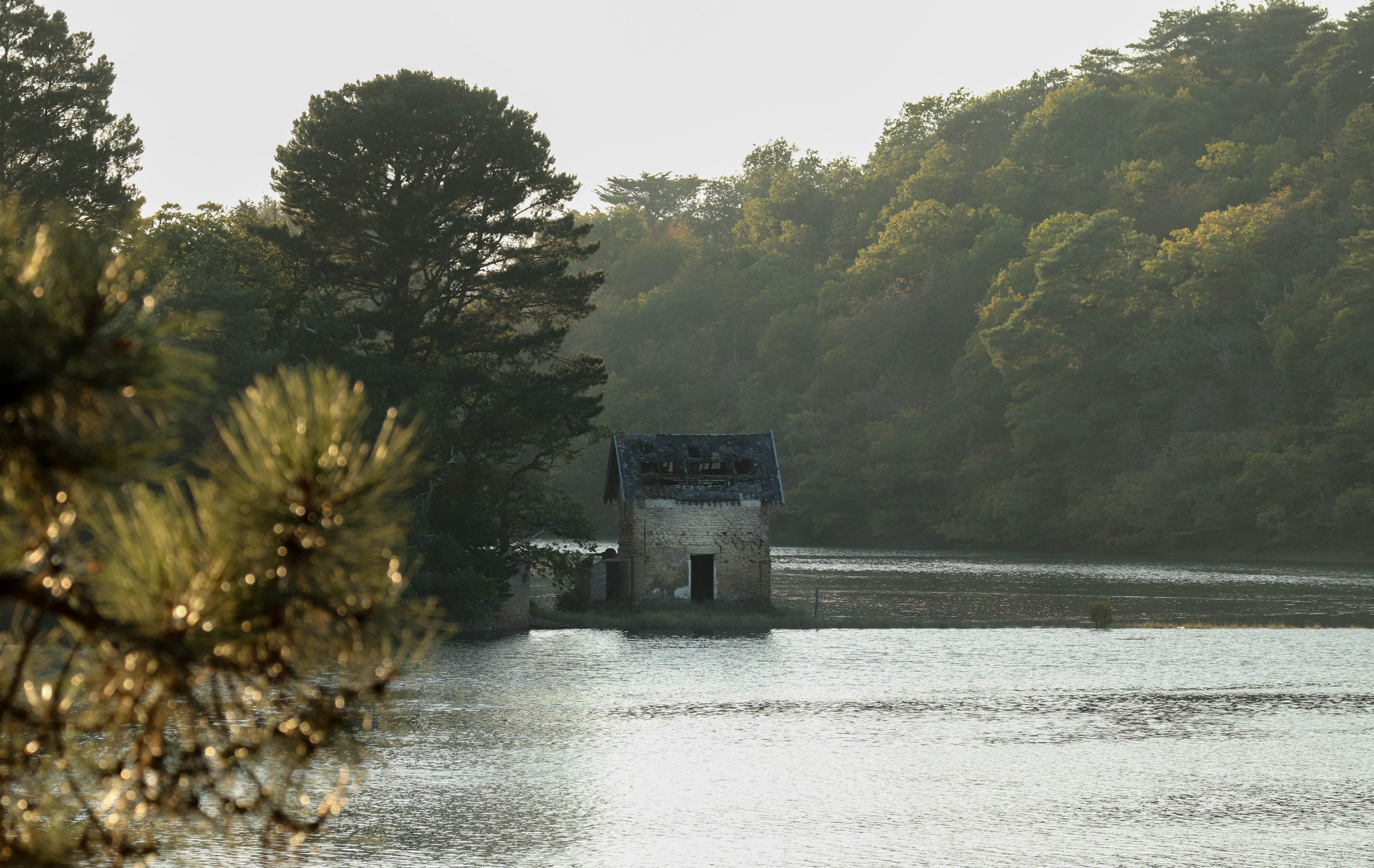 étand du Plessis, 10 oct 18.jpg