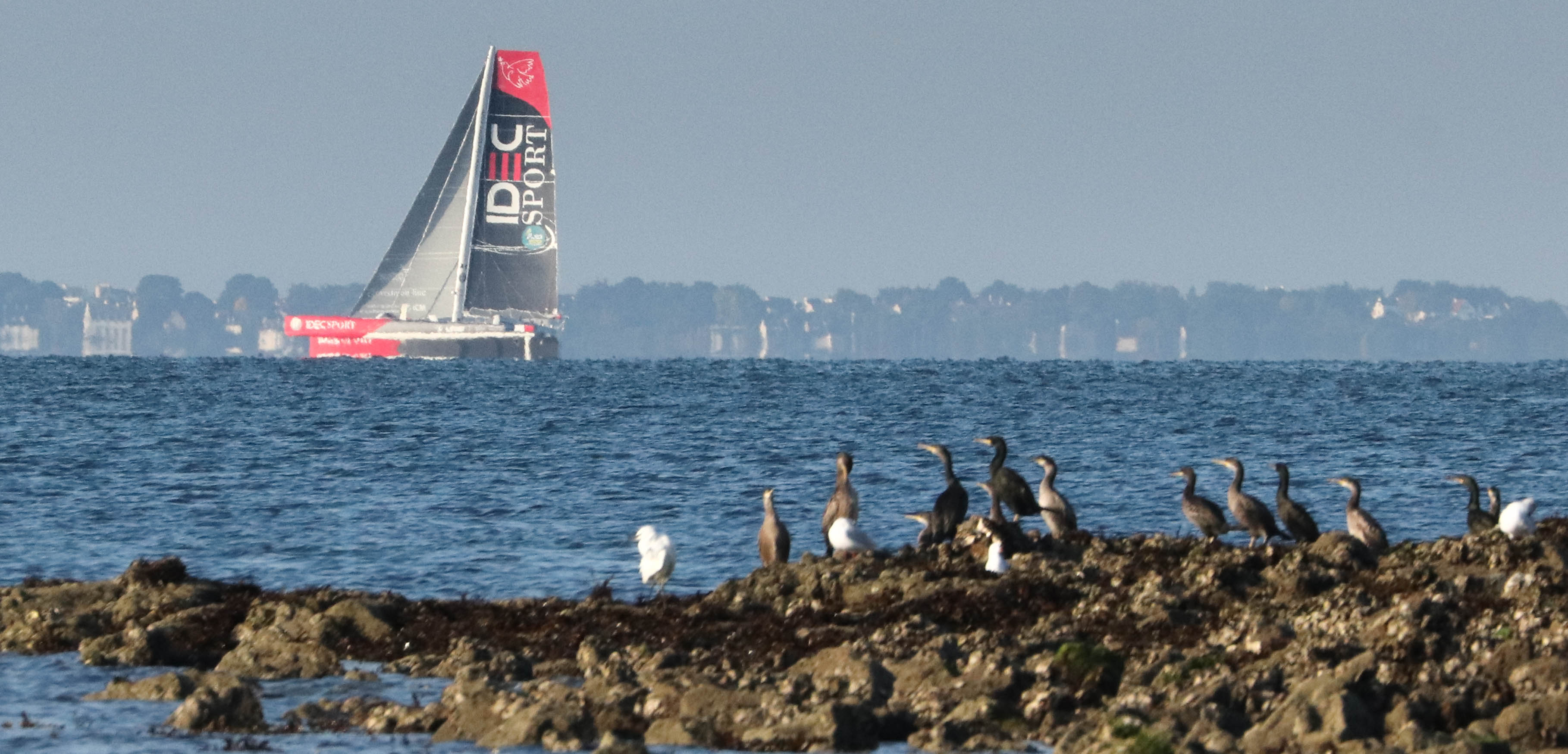 idec, baie de quiberon, 9 oct 18-49.jpg