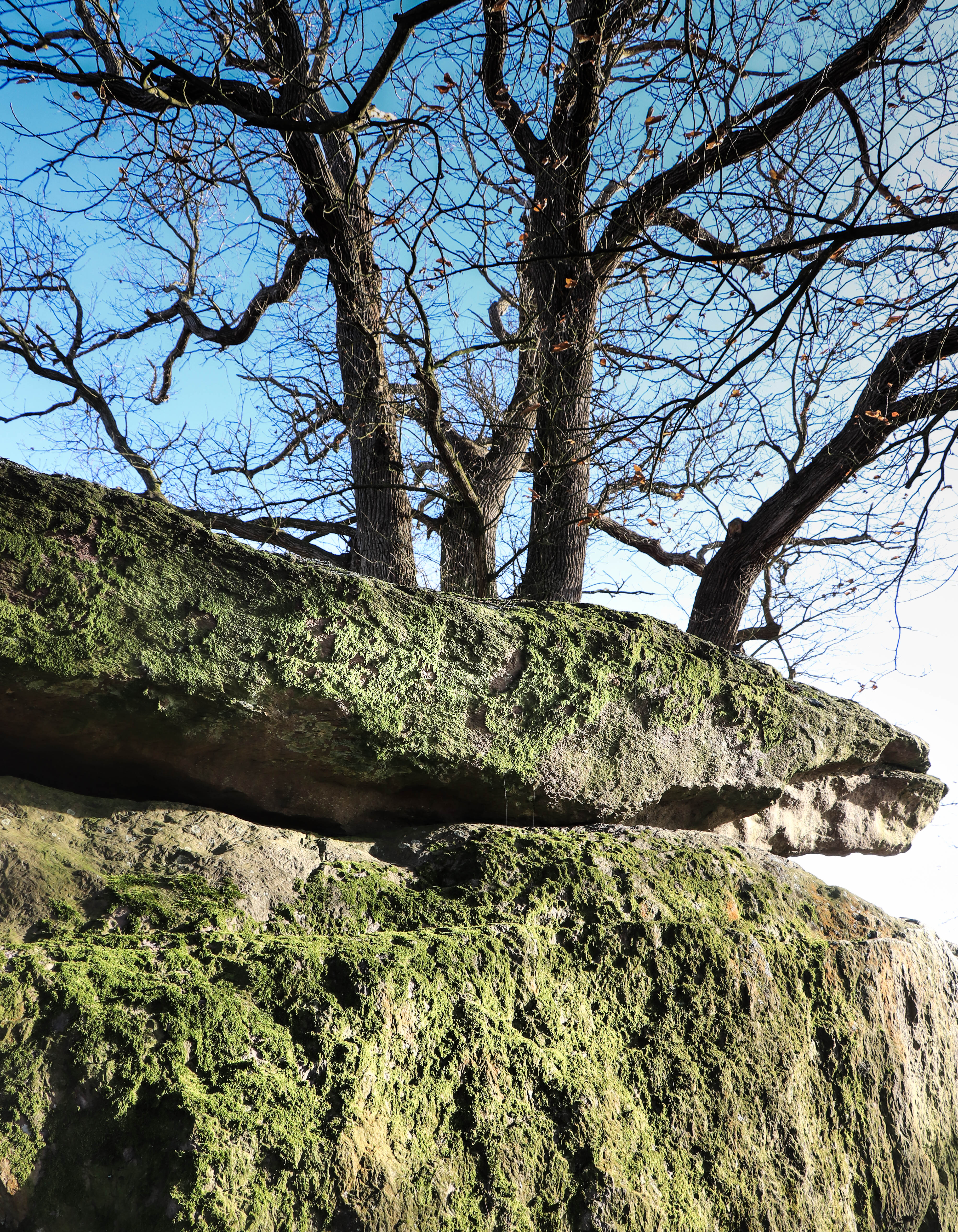 la Roche aux fées, 10 mars 19, 17h05.jpg