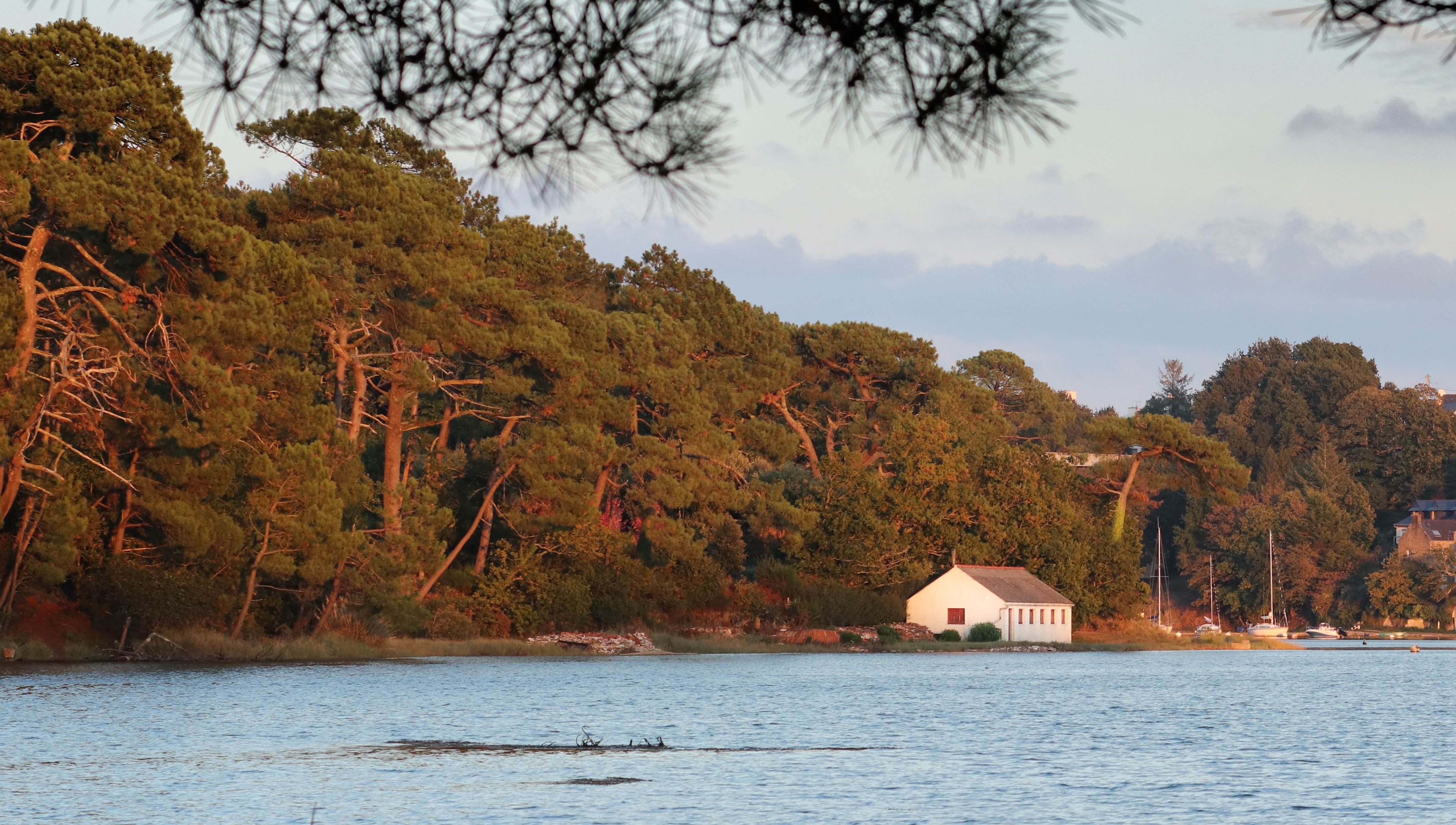 le banc de la sarcelle et la pointe de Kerisper, bono, 10 oct 18.jpg