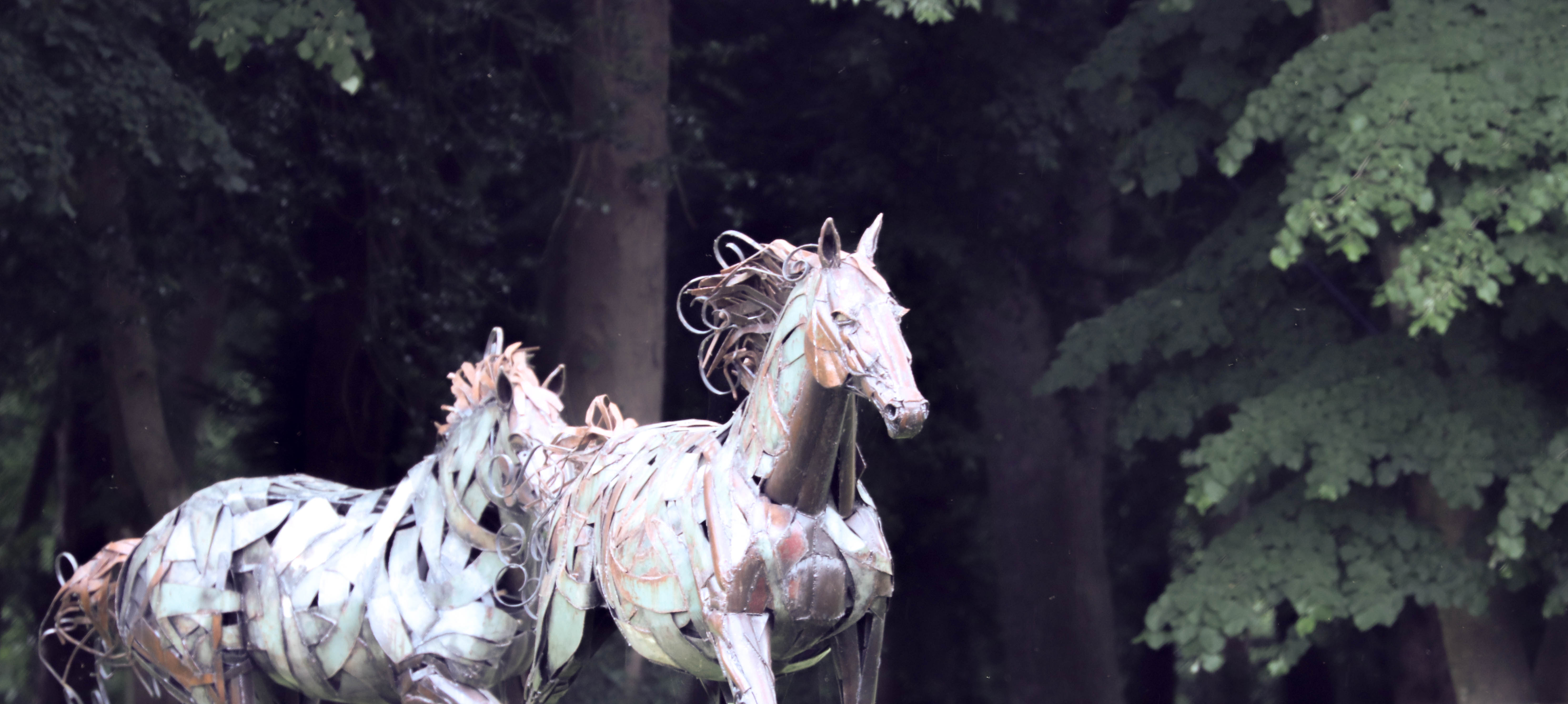 chateau des pères, 24 mai 18, 16h32.jpg