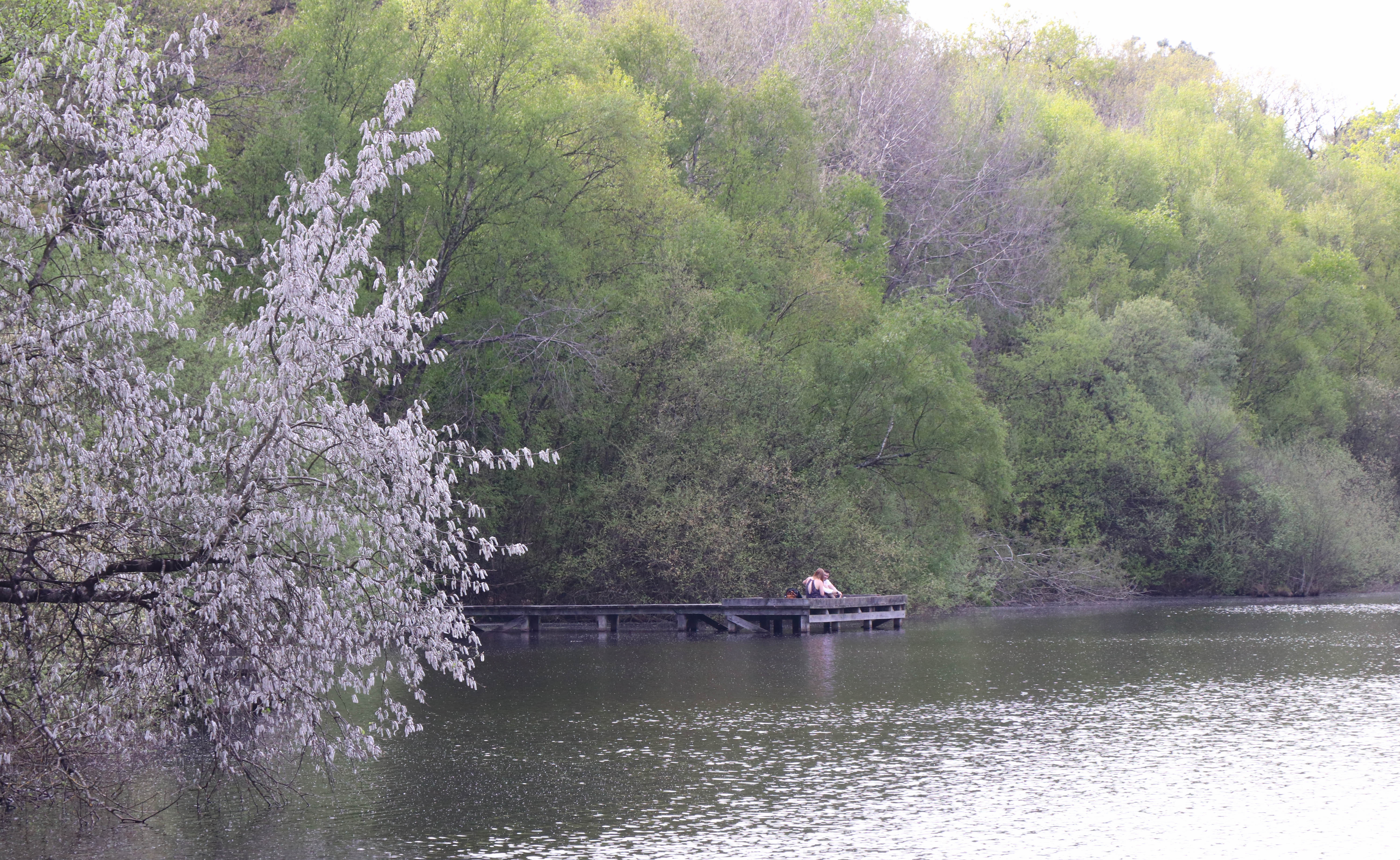 étang de la corbière, 19 avr 19, 16h42.jpg