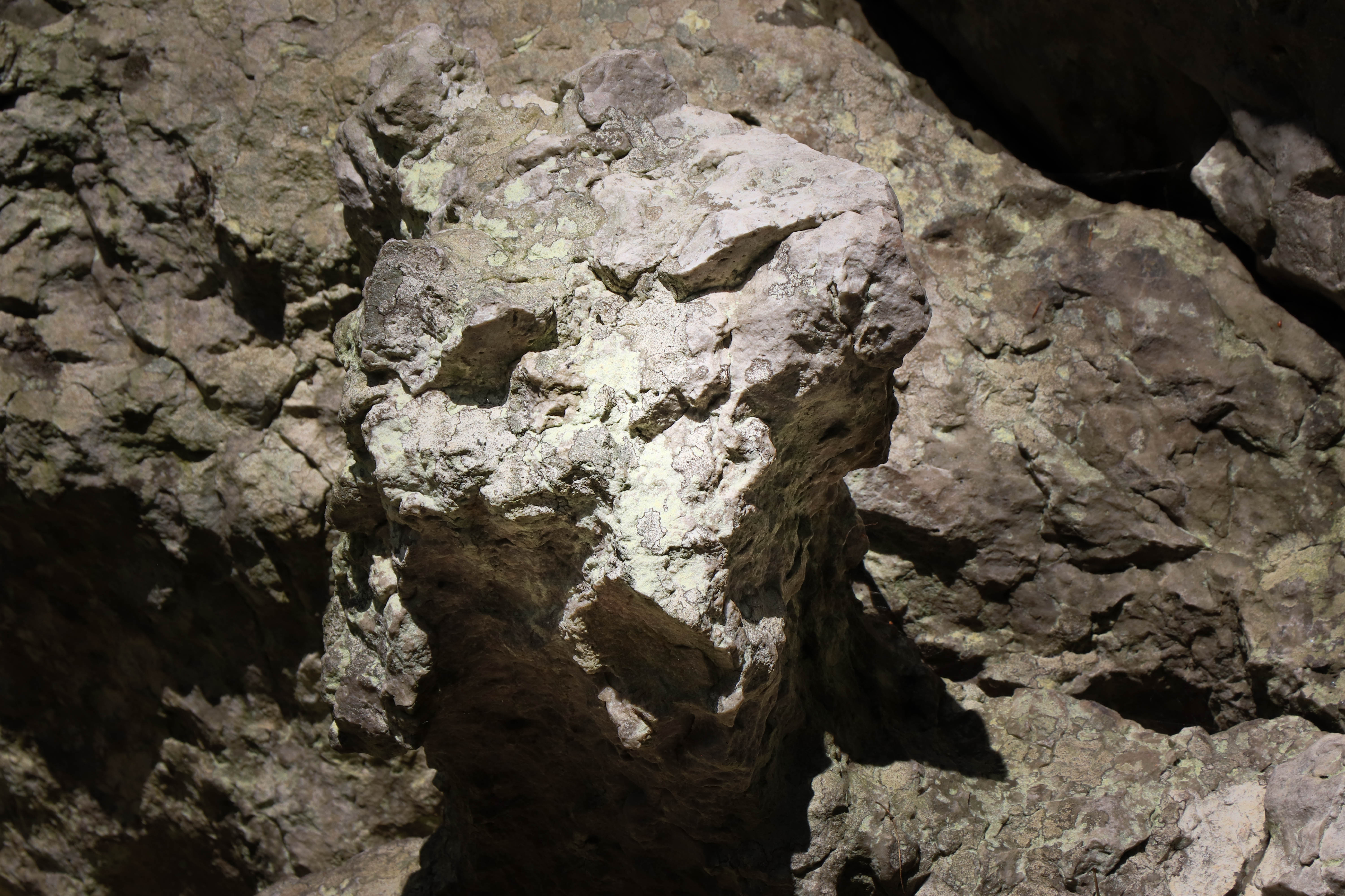 tête de mort la roche piquée forêt de st aubin du cormier 12 mai 19.jpg