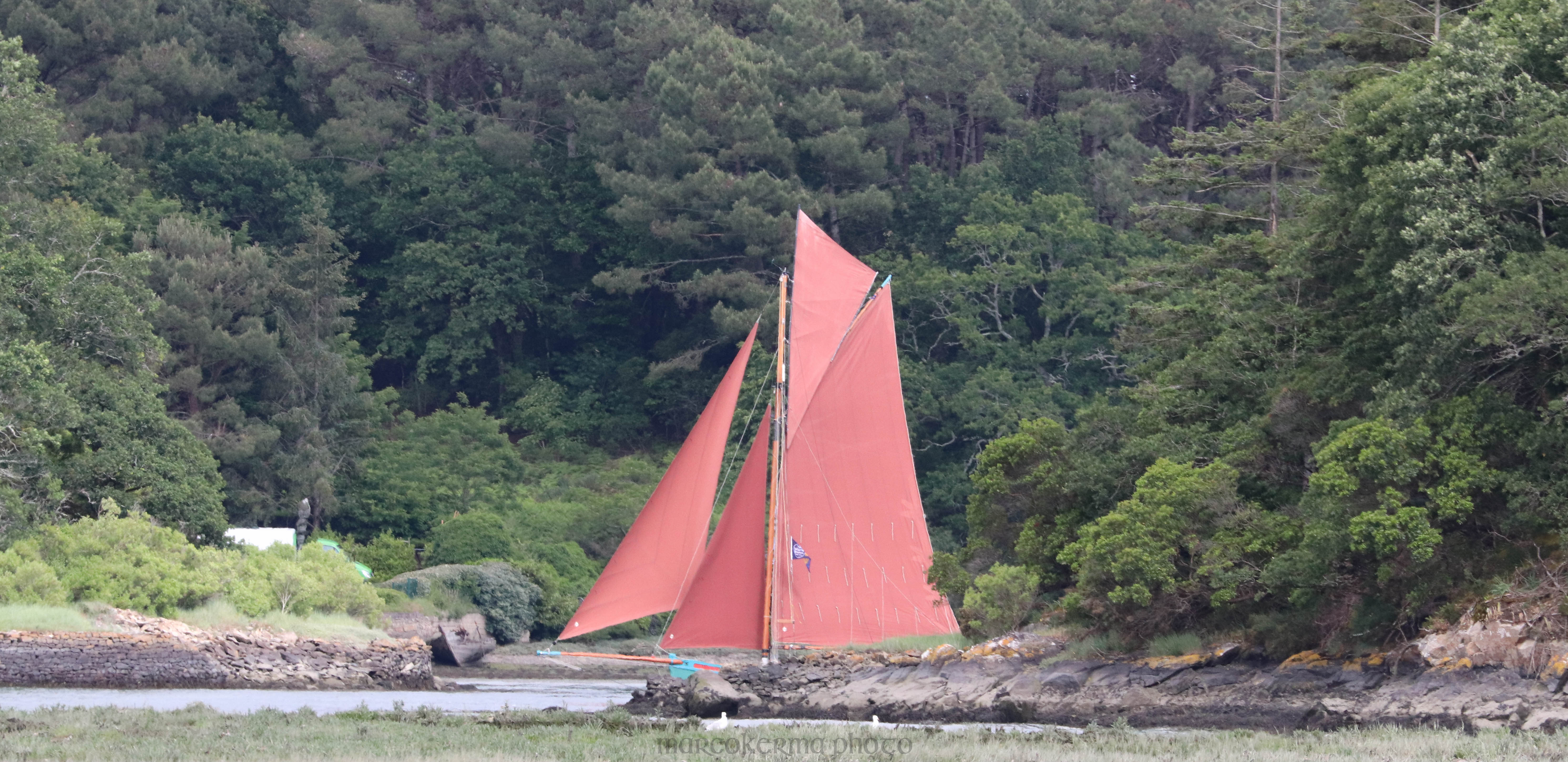 Mousehole,  30 mai 19, Vide-Bouteilles, 17h38.jpg
