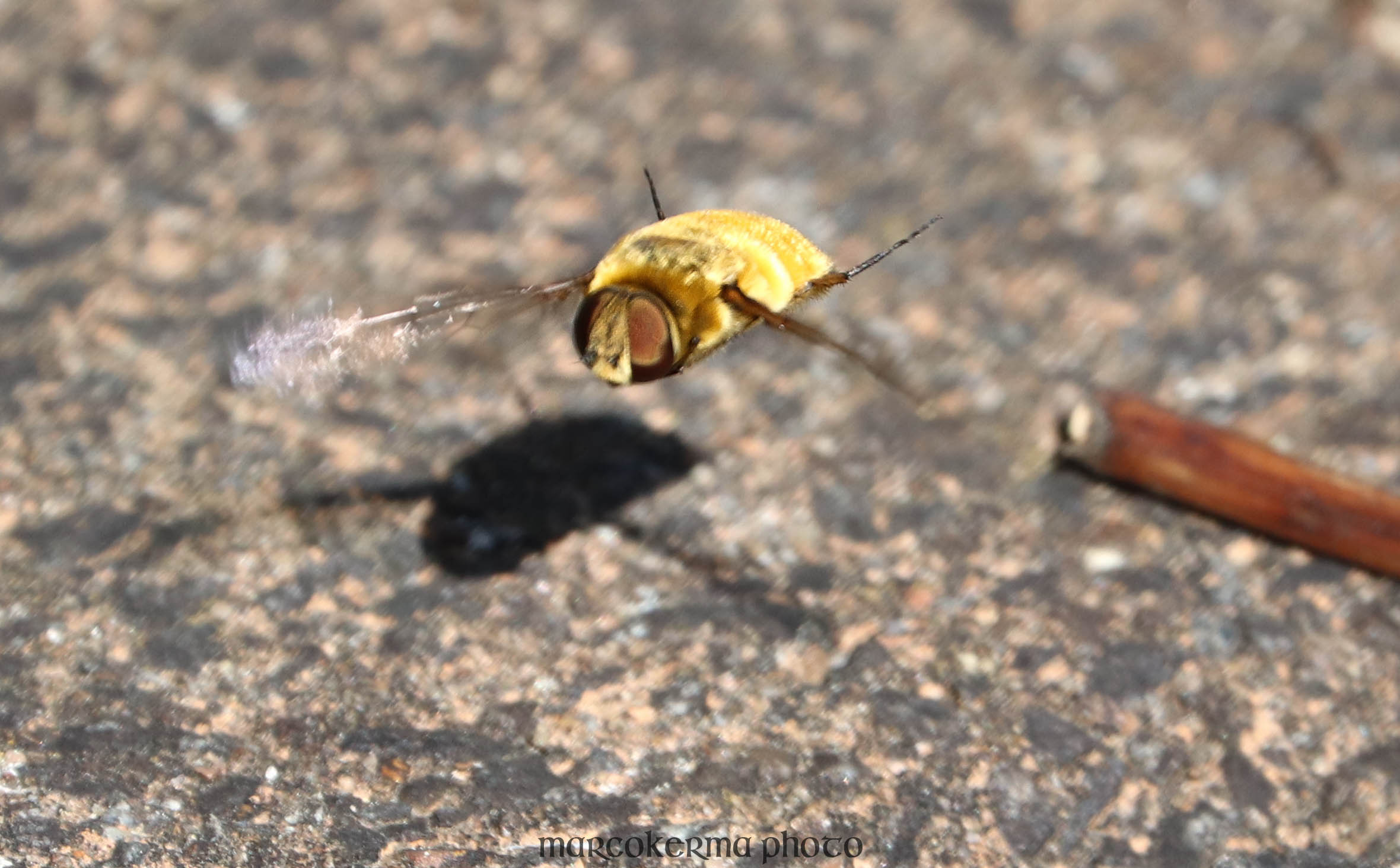 -, Locmariaquer, 14 sept.19, 14h16.jpg