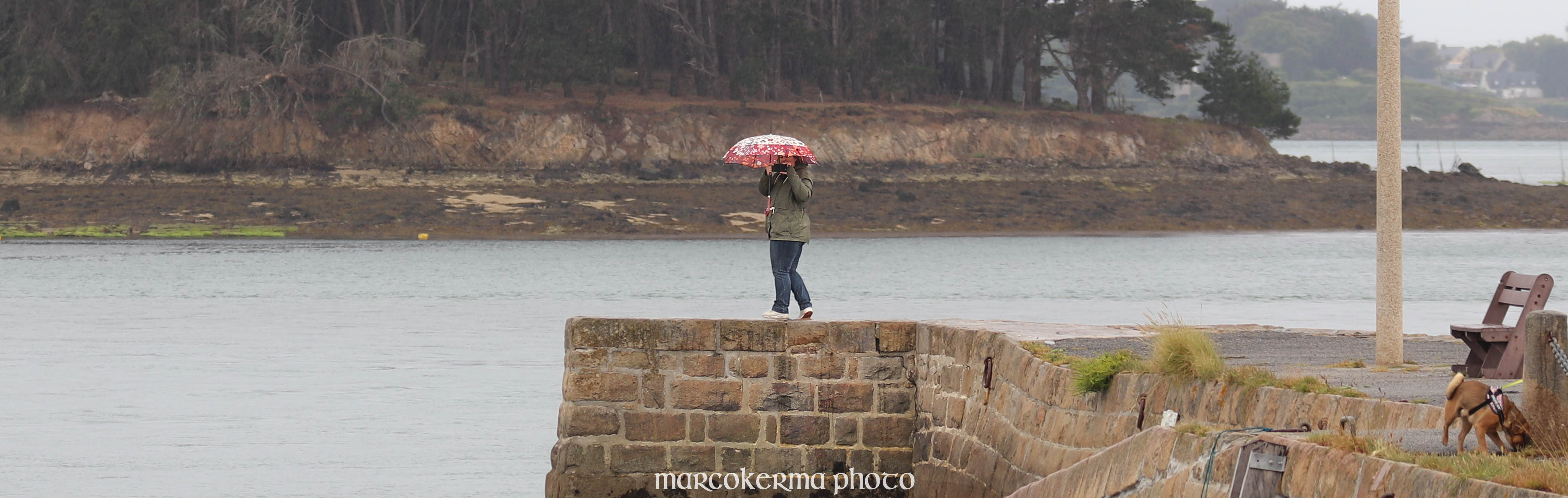 Larmor-Baden, 9 juin 19, 17h06.jpg