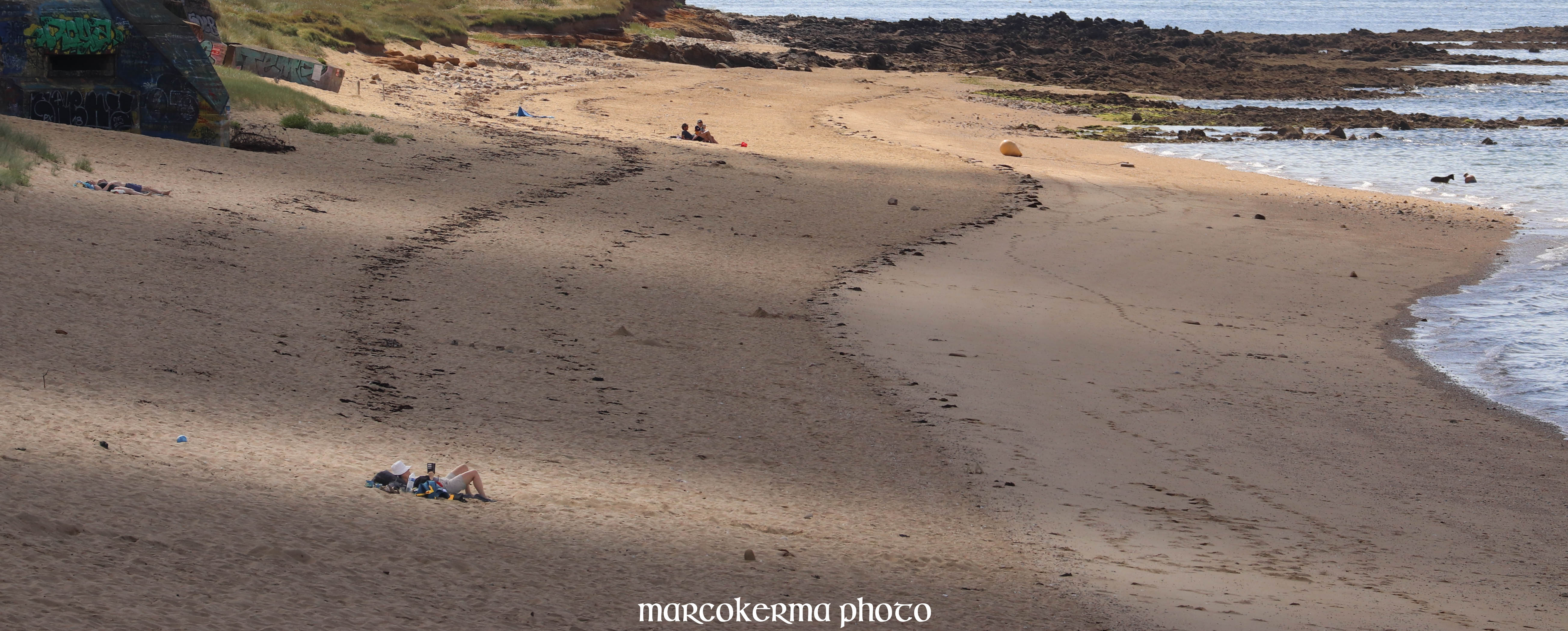 St Pierre, Locmariaquer, 12 juil.19, 11h14.jpg