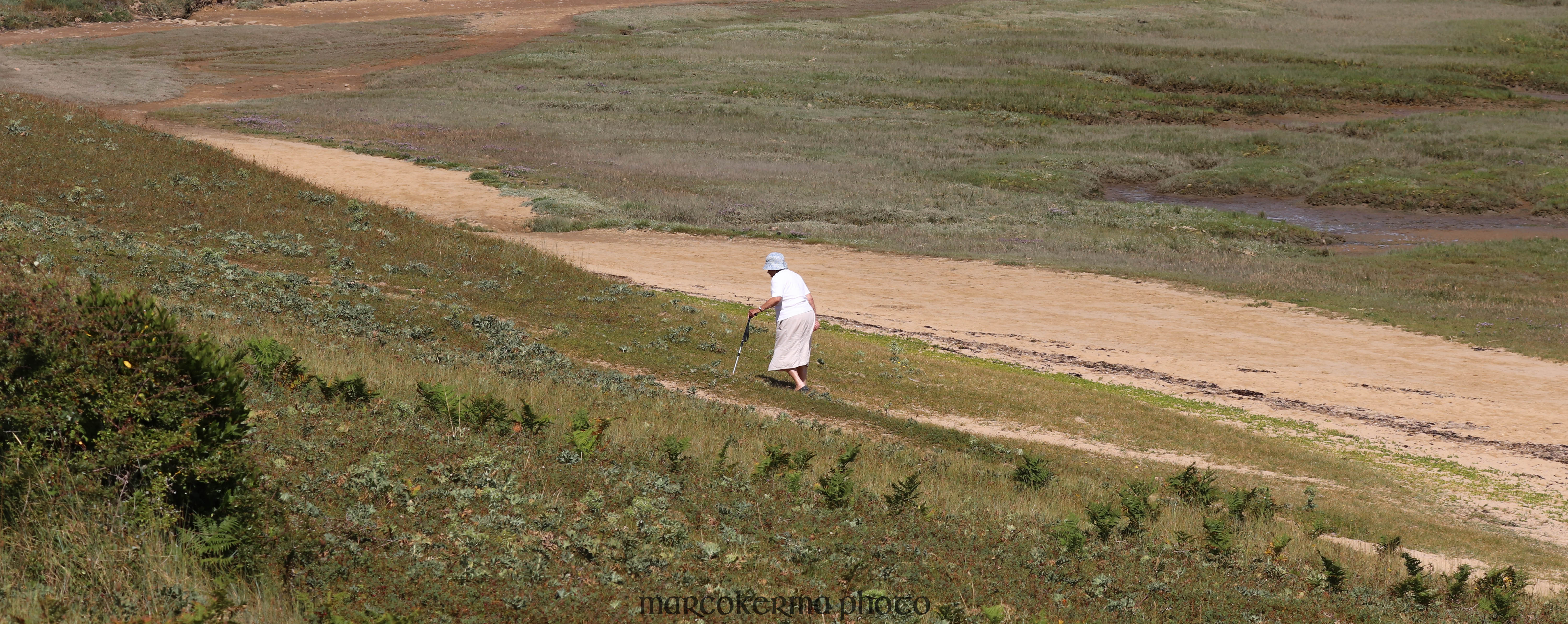 St Pierre, Locmariaquer, 12 juil.19, 11h30.jpg