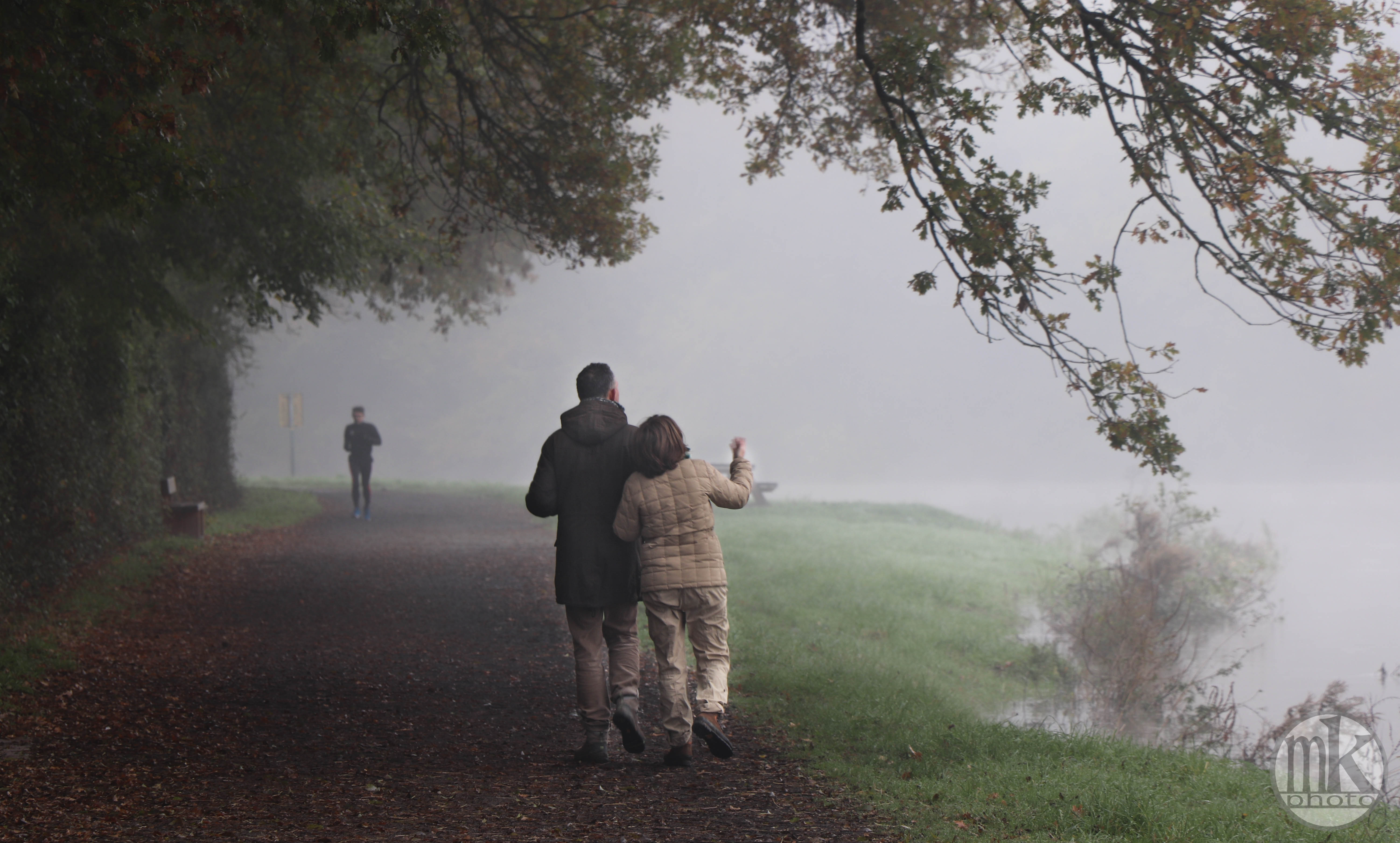 au Boël, 17 nov 19, 11h51.jpg