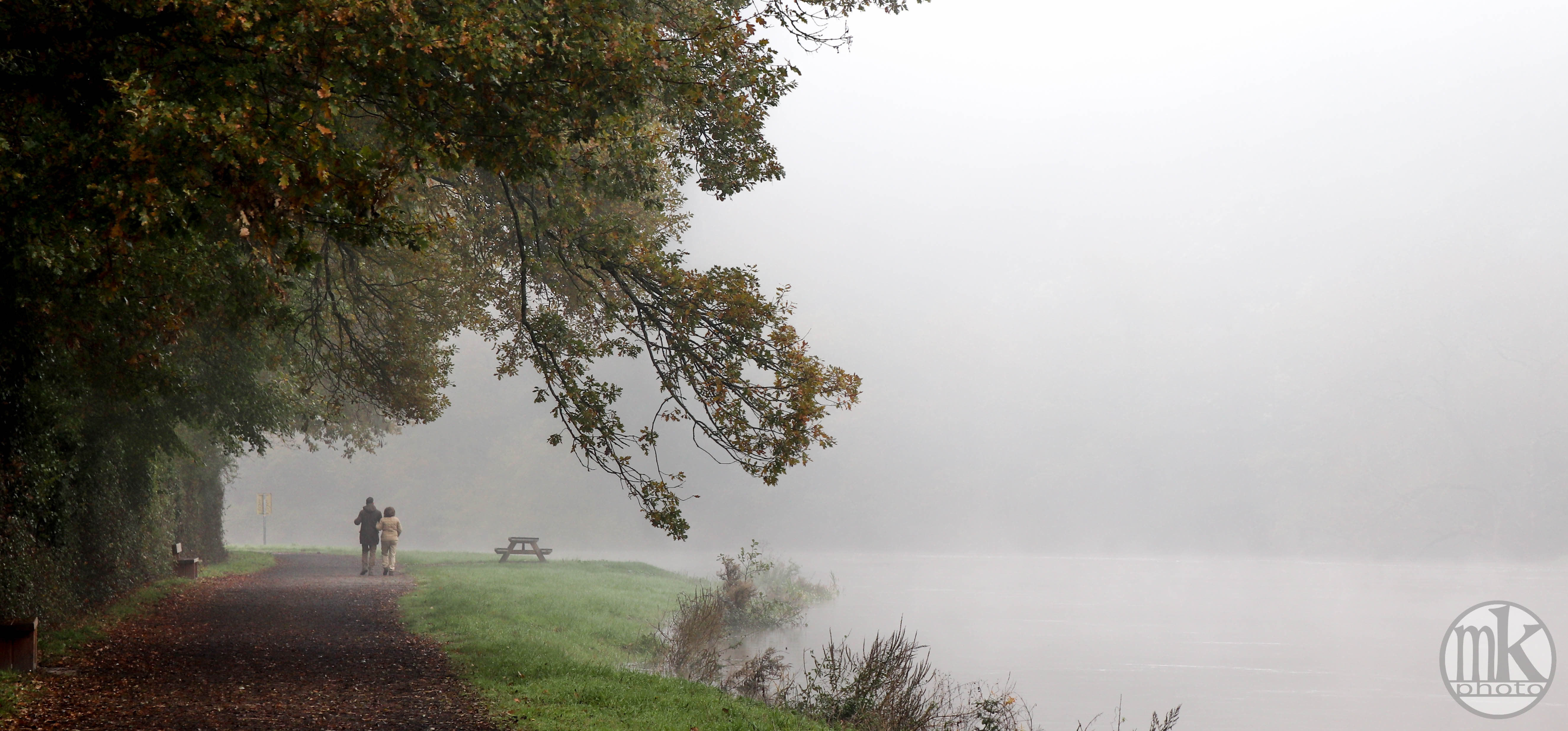 au Boël, 17 nov 19, 11h52-35.jpg