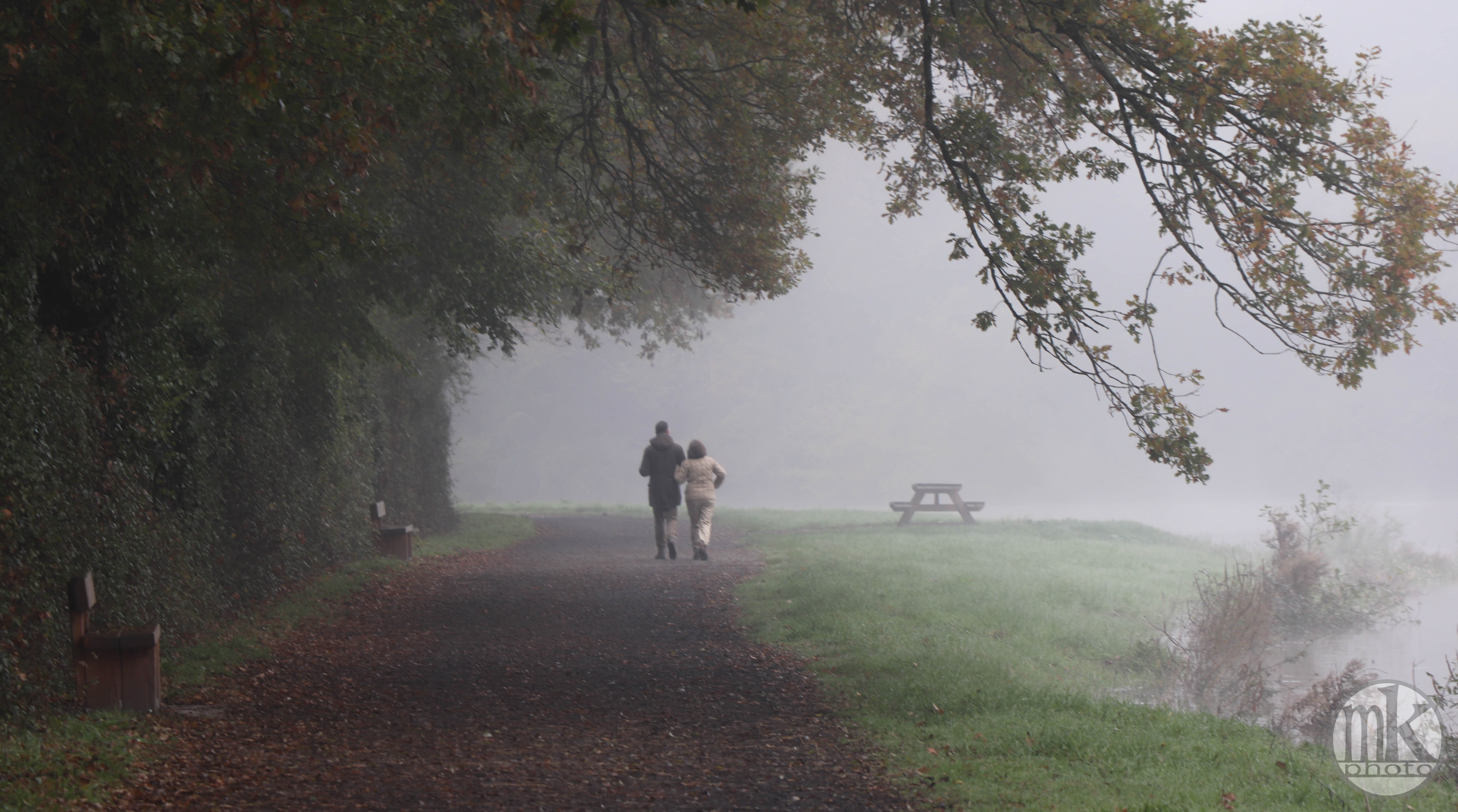 au Boël, 17 nov 19, 11h52.jpg