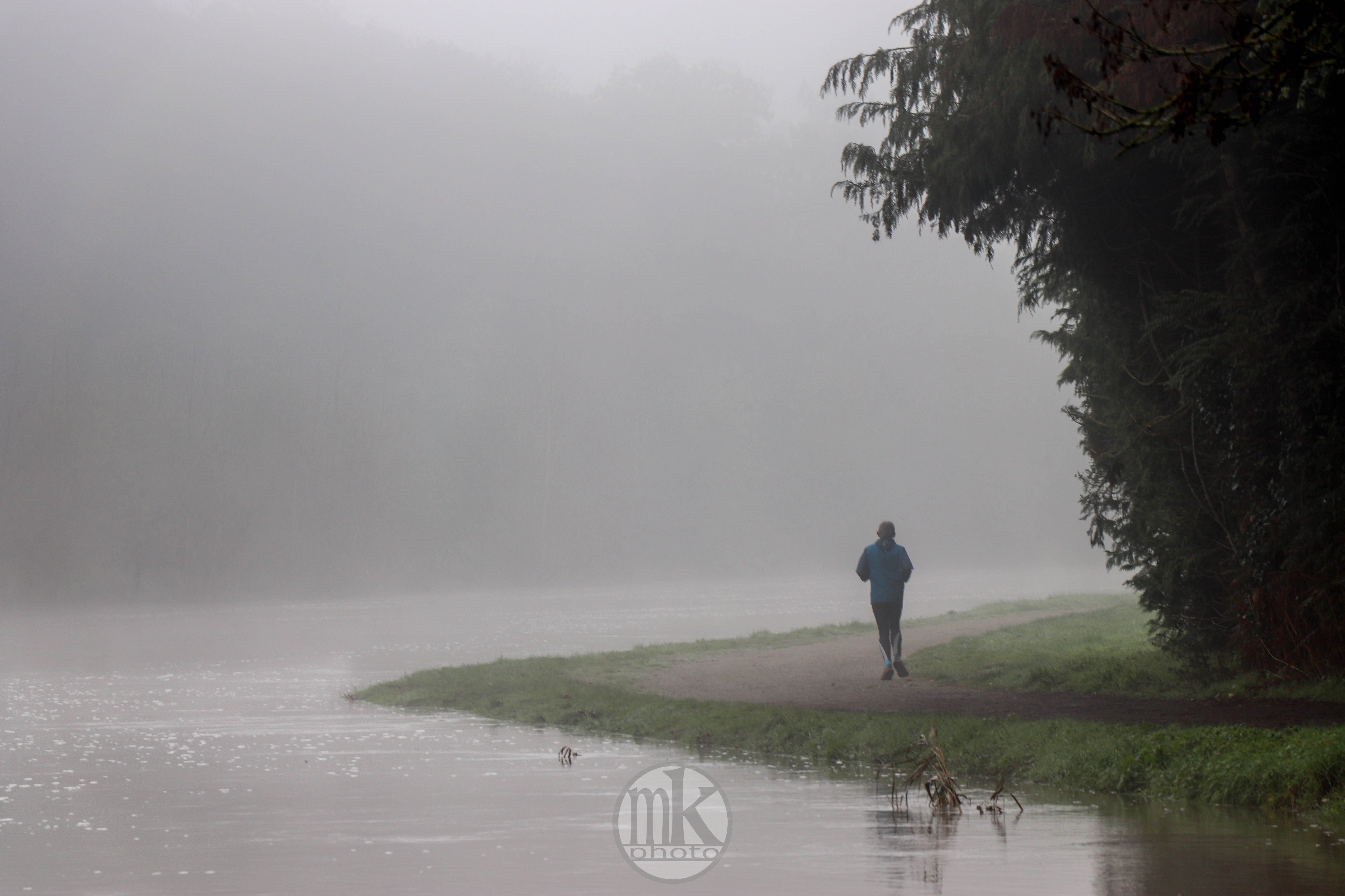 au Boël, 17 nov 19, 12h06-00.jpg