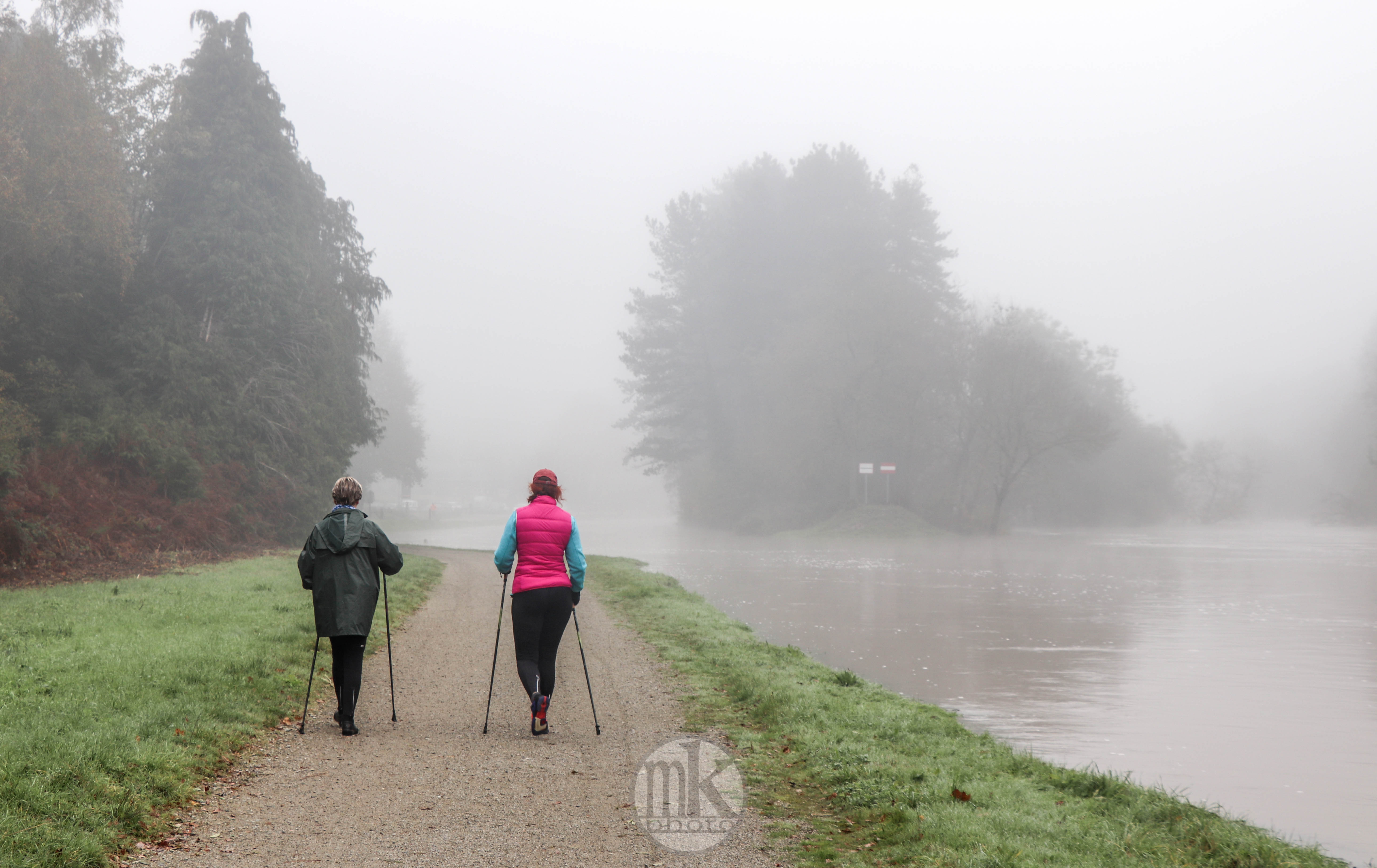 au Boël, 17 nov 19, 12h15.jpg