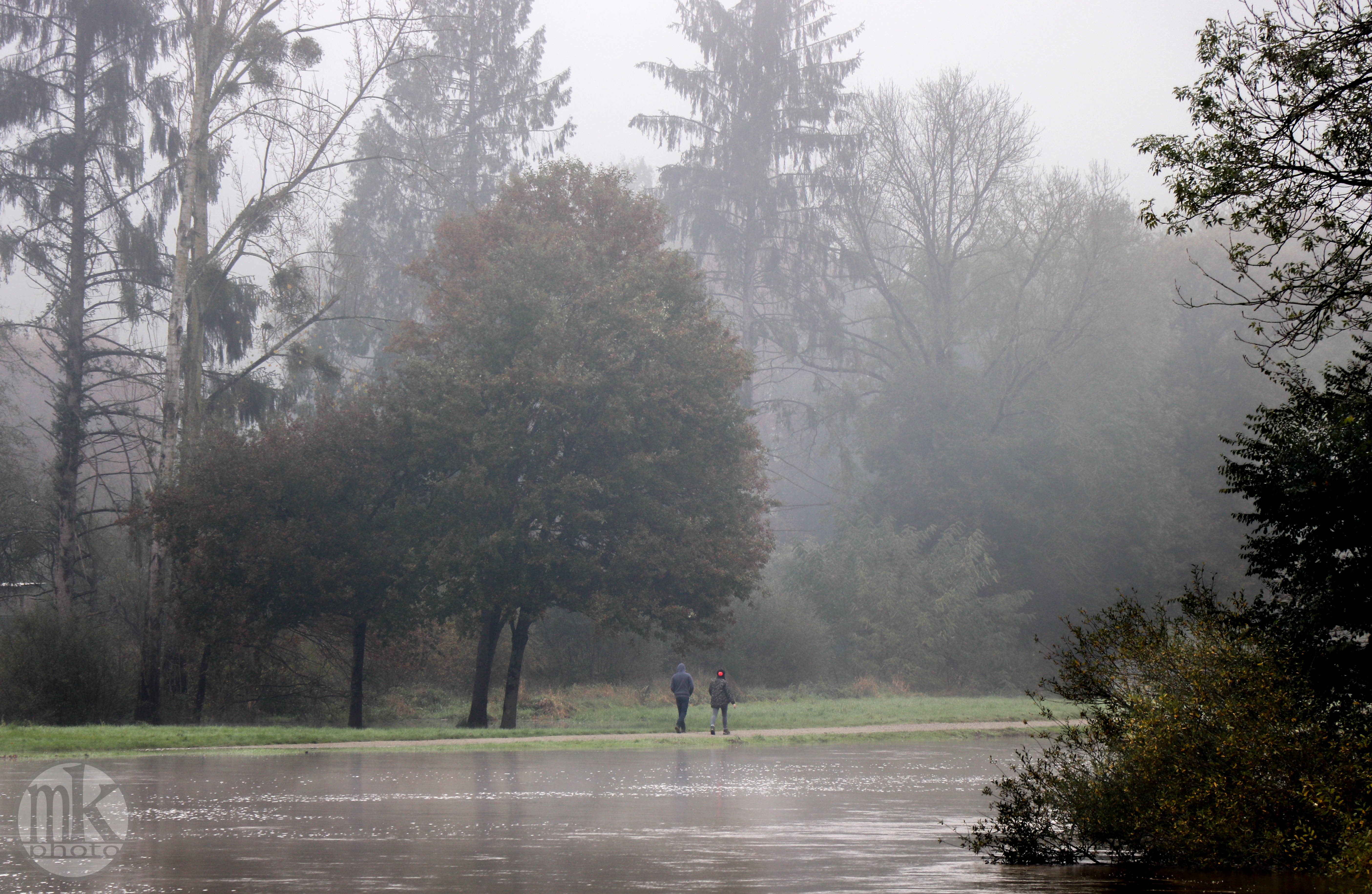 en aval du Boël, 17 nov 19, 12h52.jpg