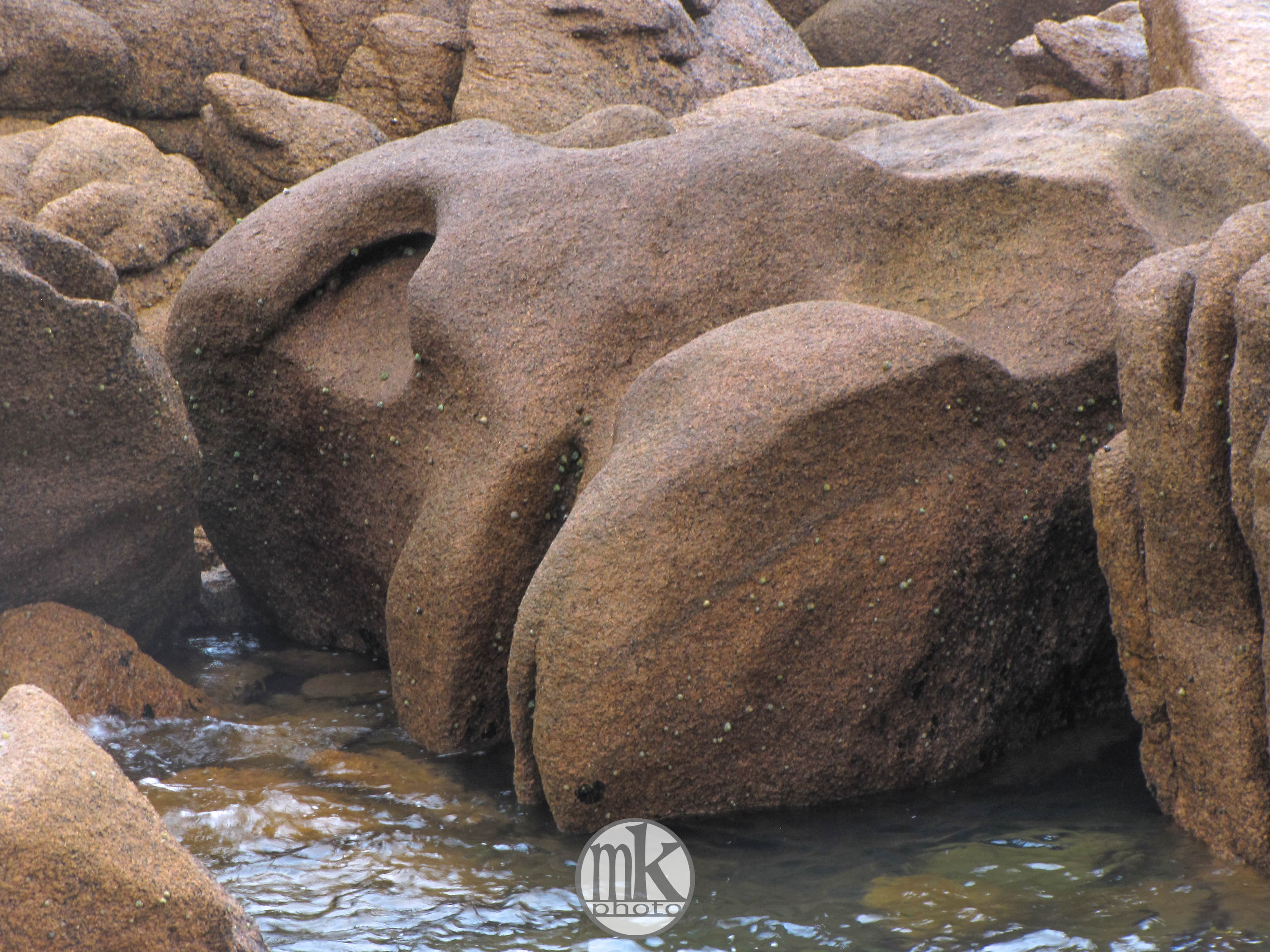 Île Renote, Tregastel, 8 août 15, 18h27.jpg