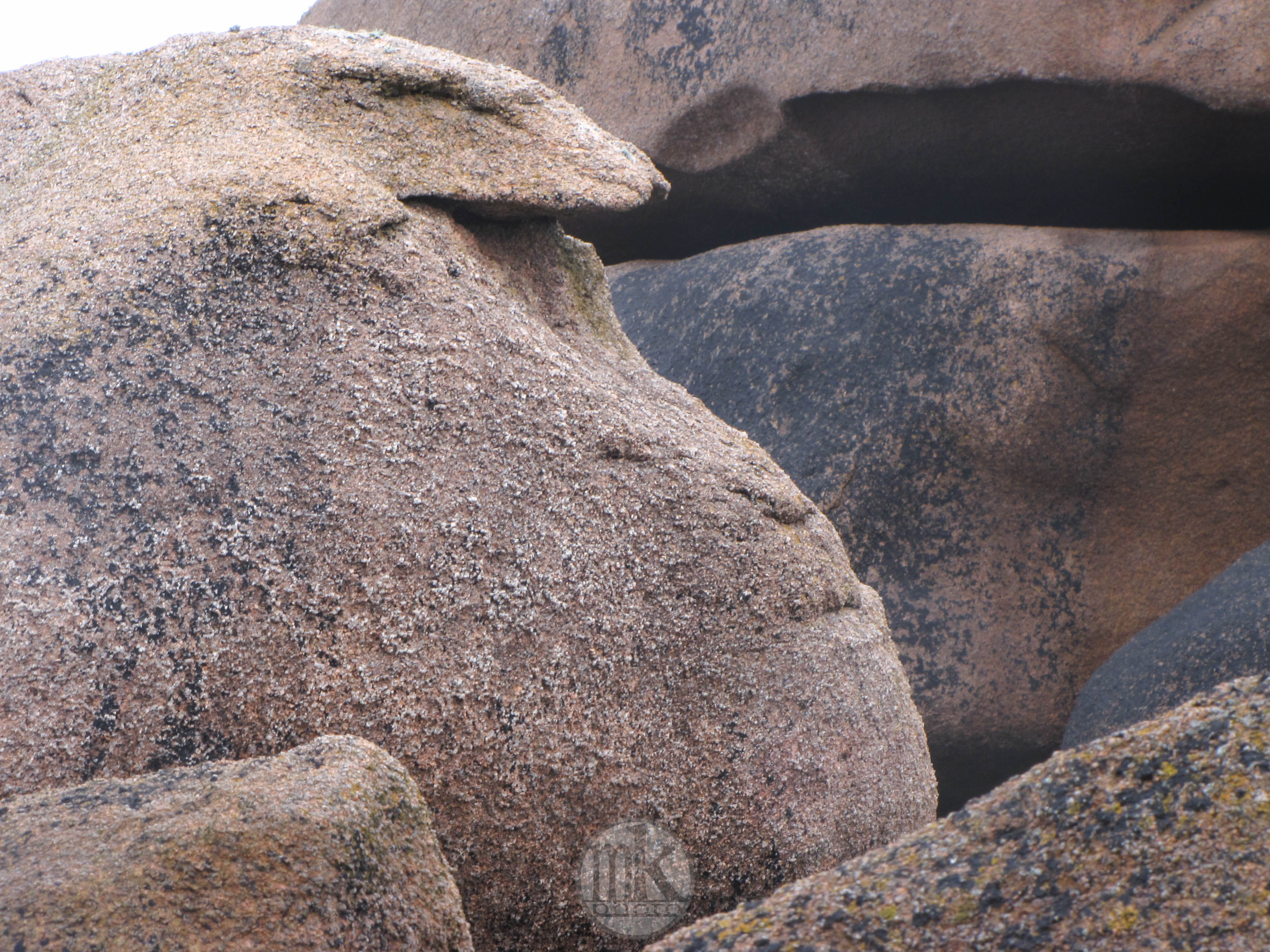 Île Renote, Tregastel, 8 août 15, 18h49.jpg