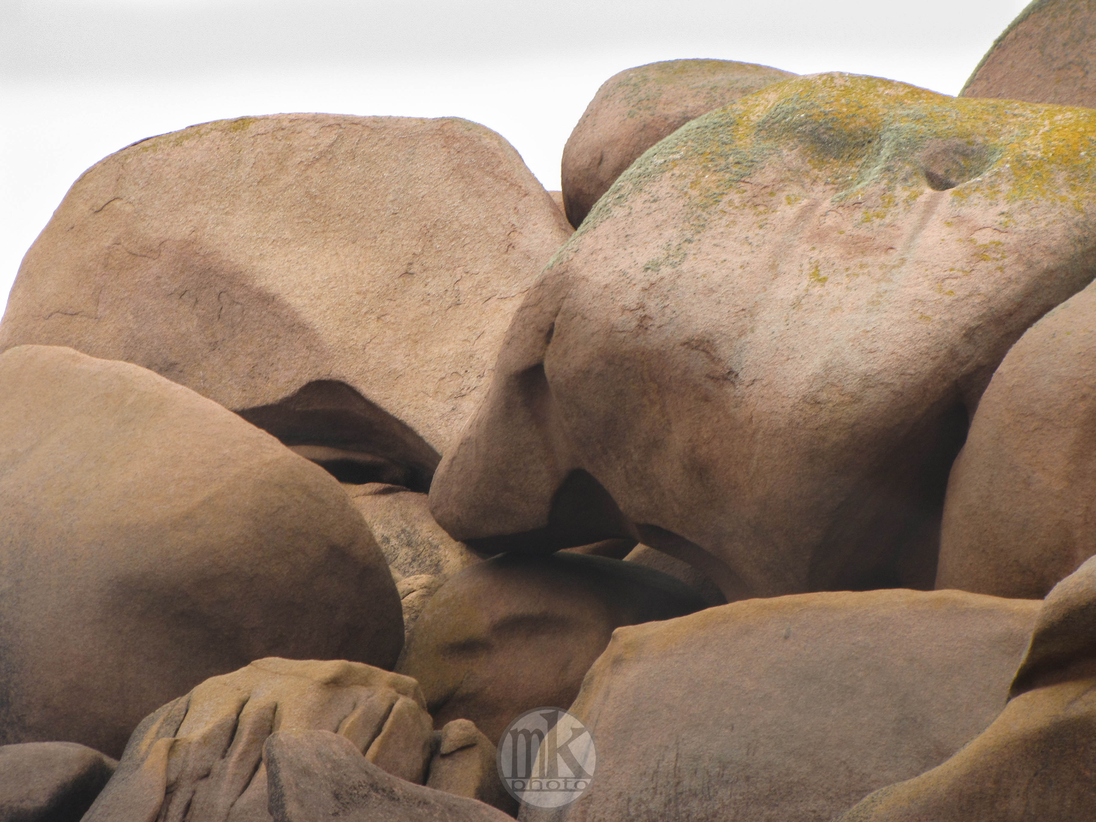 Île Renote, Tregastel, 8 août 15, 18h52.jpg