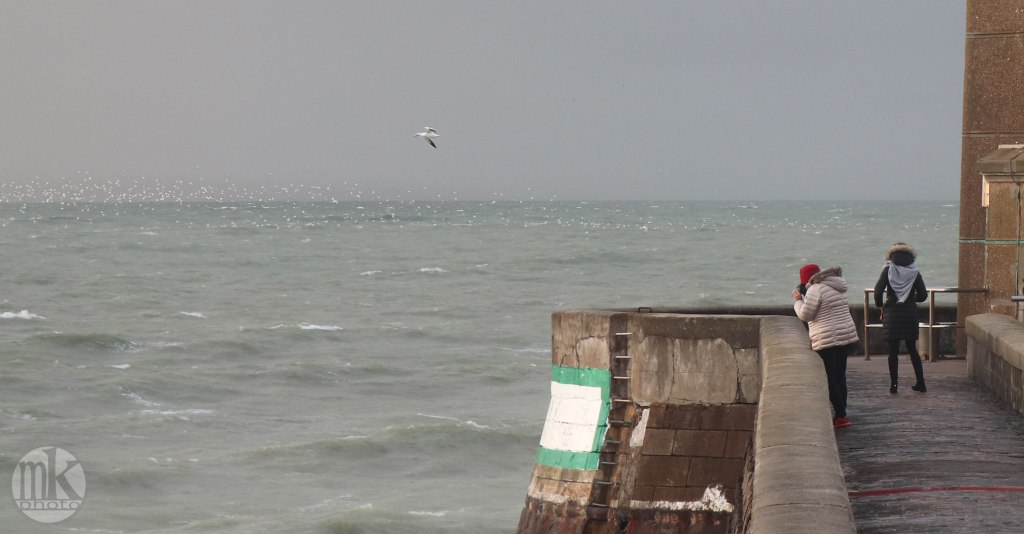 Fécamp, l'entrée du port, 22 déc 19, 17h12-15 (zoom).jpg