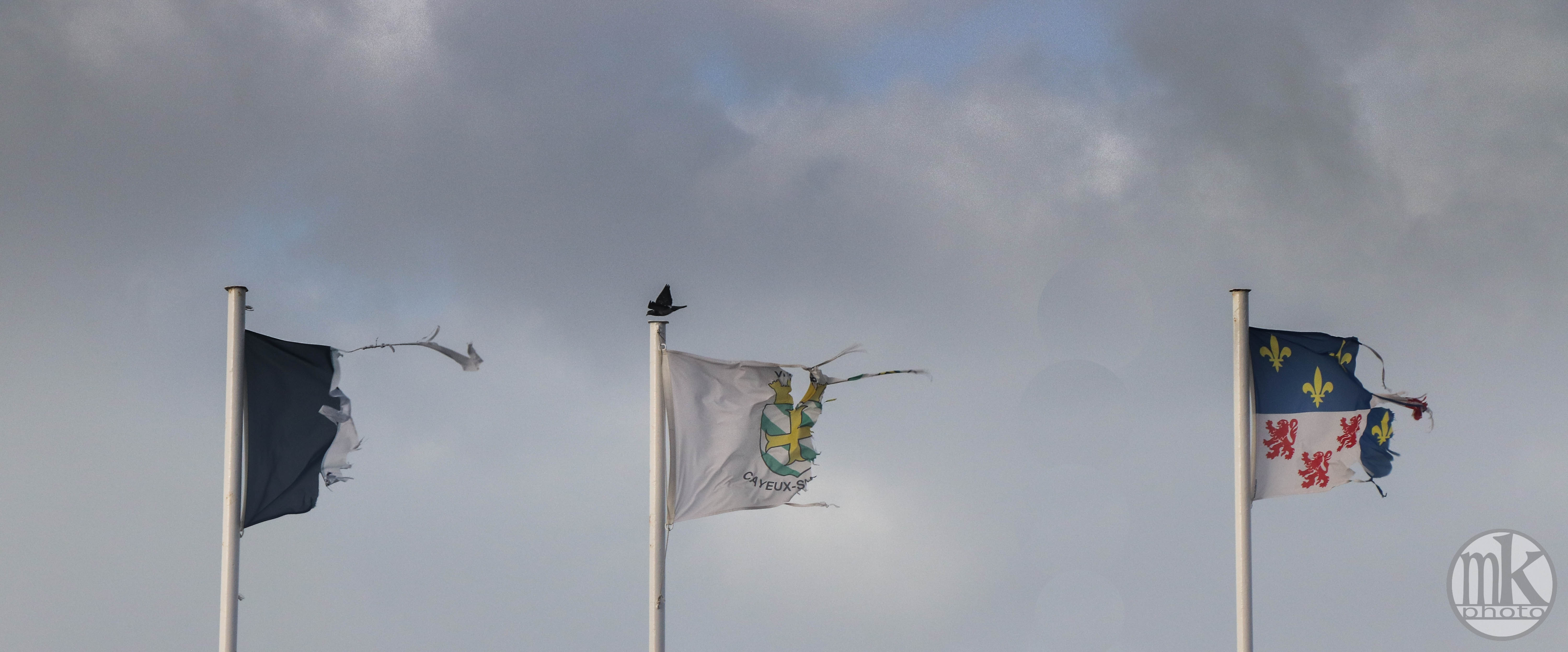 Cayeux s-Mer, 24 déc.19, 13h07.jpg