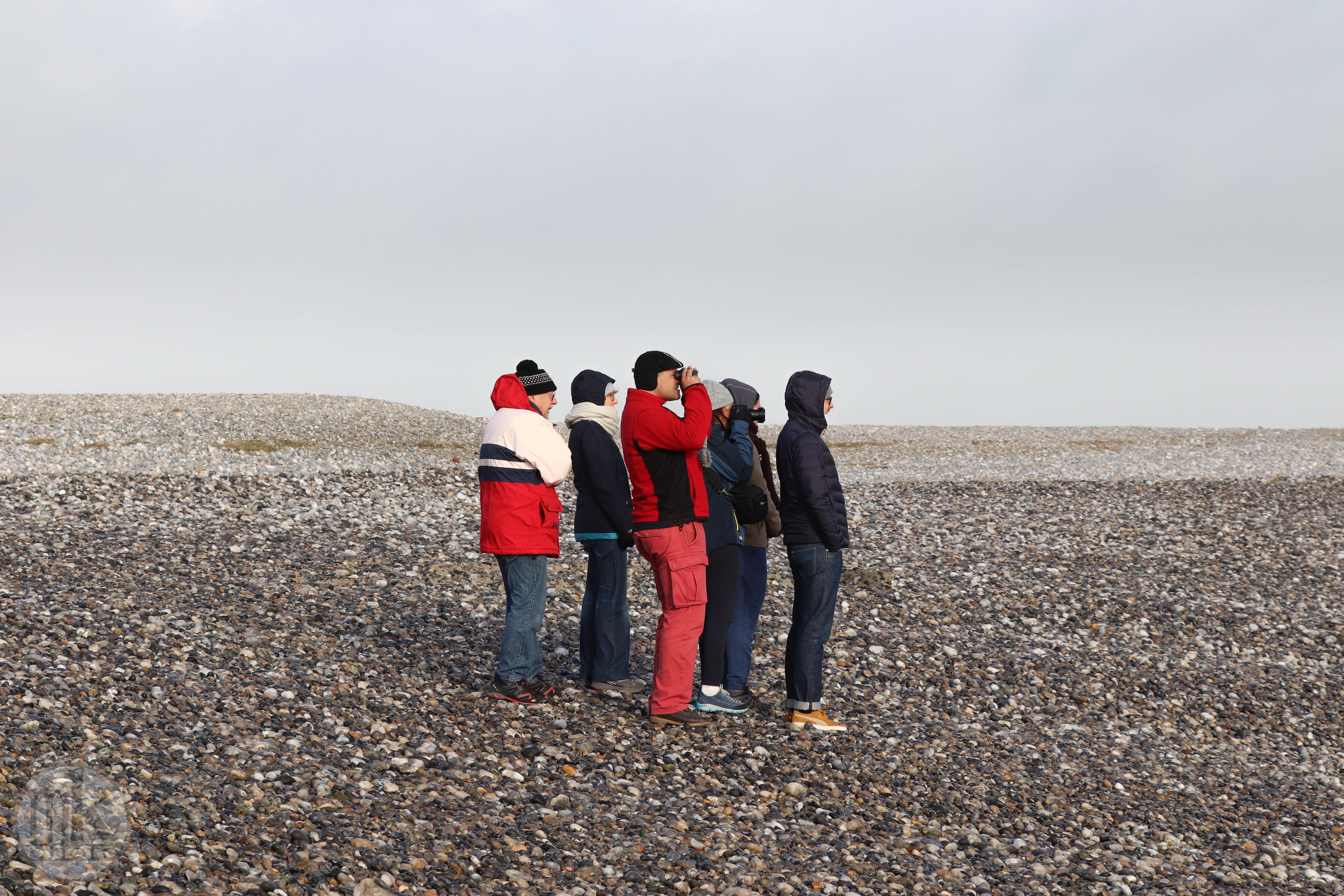 pointe du Hourdel, 24 déc.19, 13h58.jpg