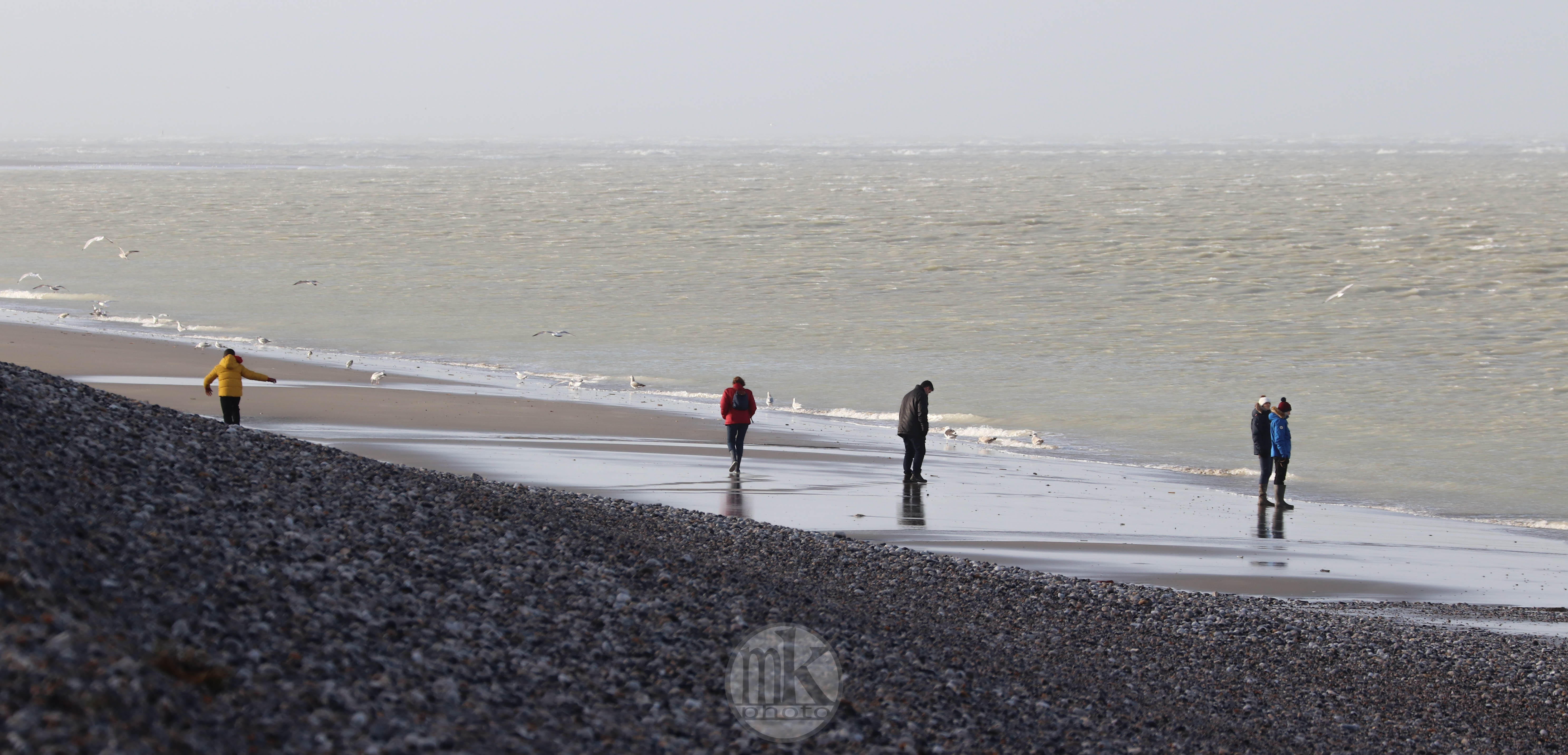pointe du Hourdel, 24 déc.19, 14h20-36.jpg