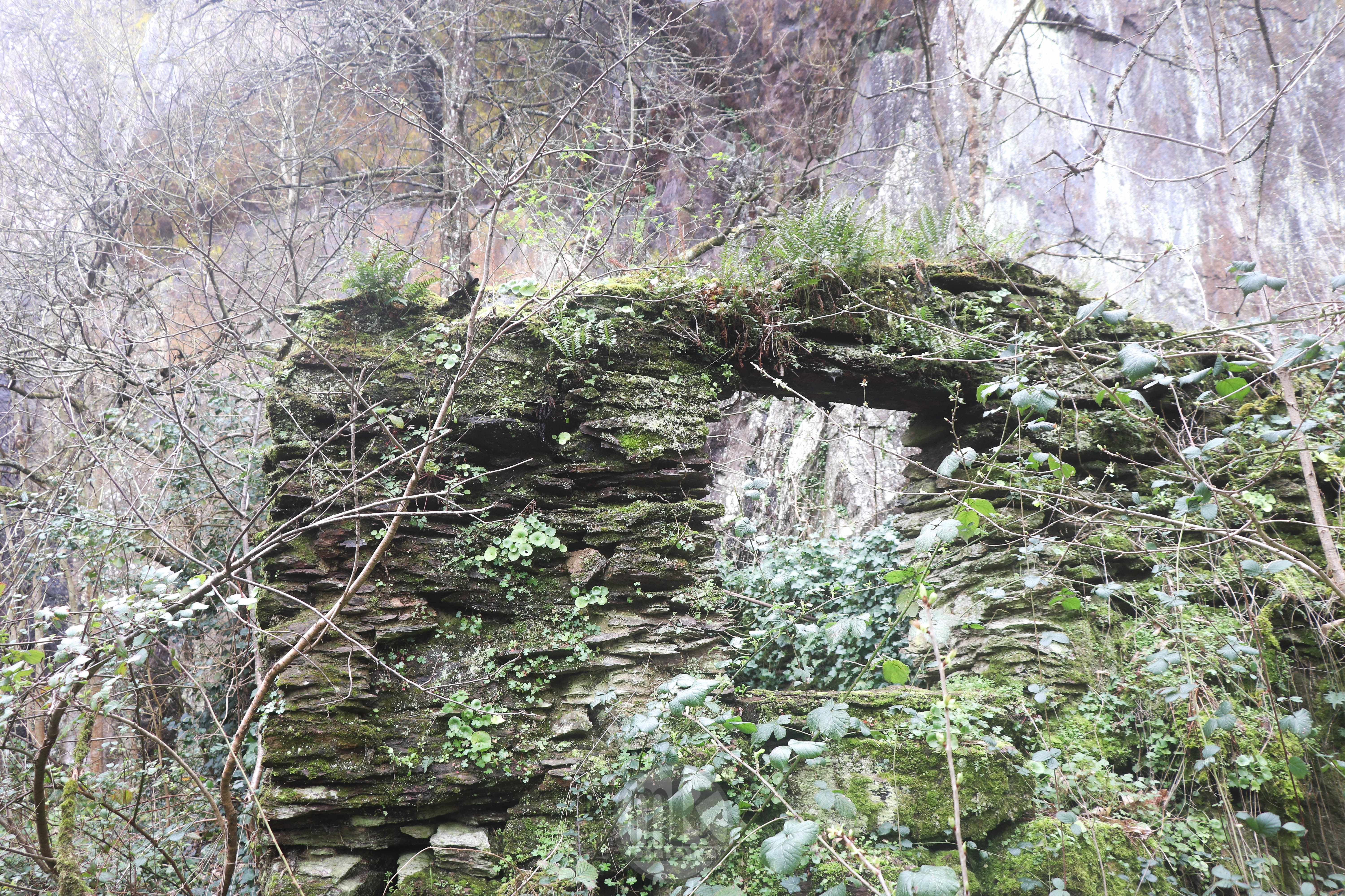 moulin du Boël, abri dans la carrière, 7 mars 2020, 14h30