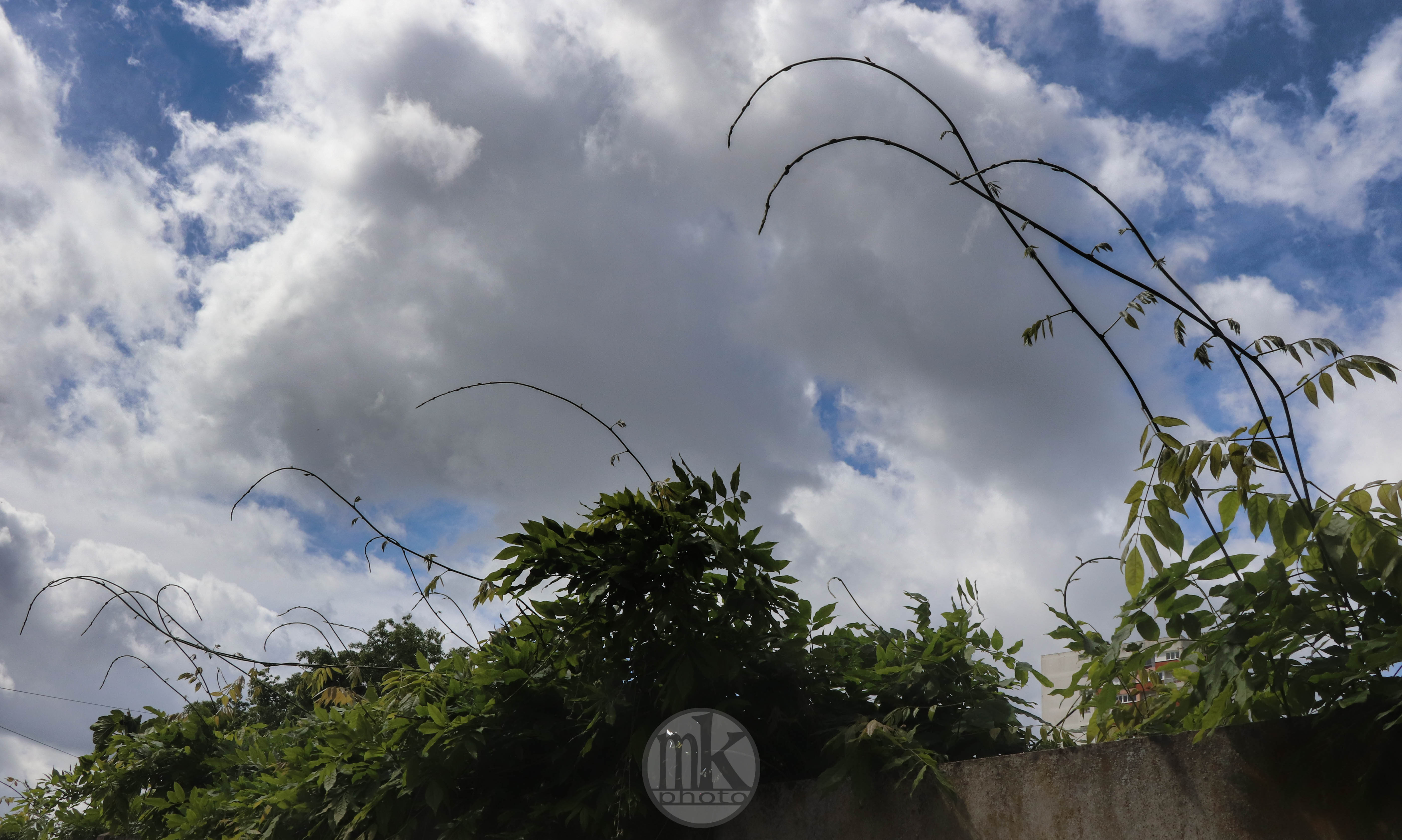 Bd Oscar Leroux, 1er mai 2020, 12h53