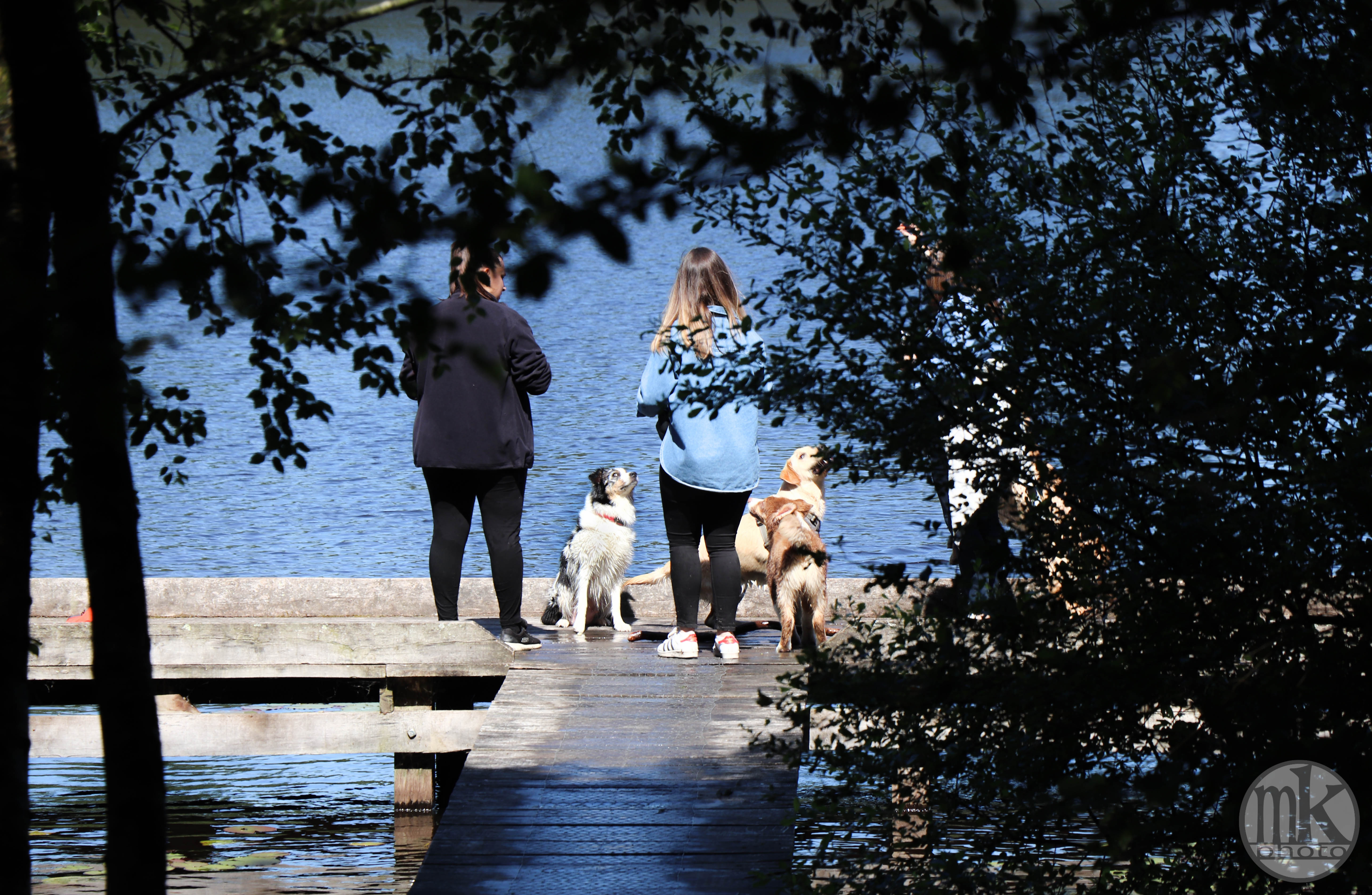 étang de la Corbière, 15 mai 2020, 15-49-12