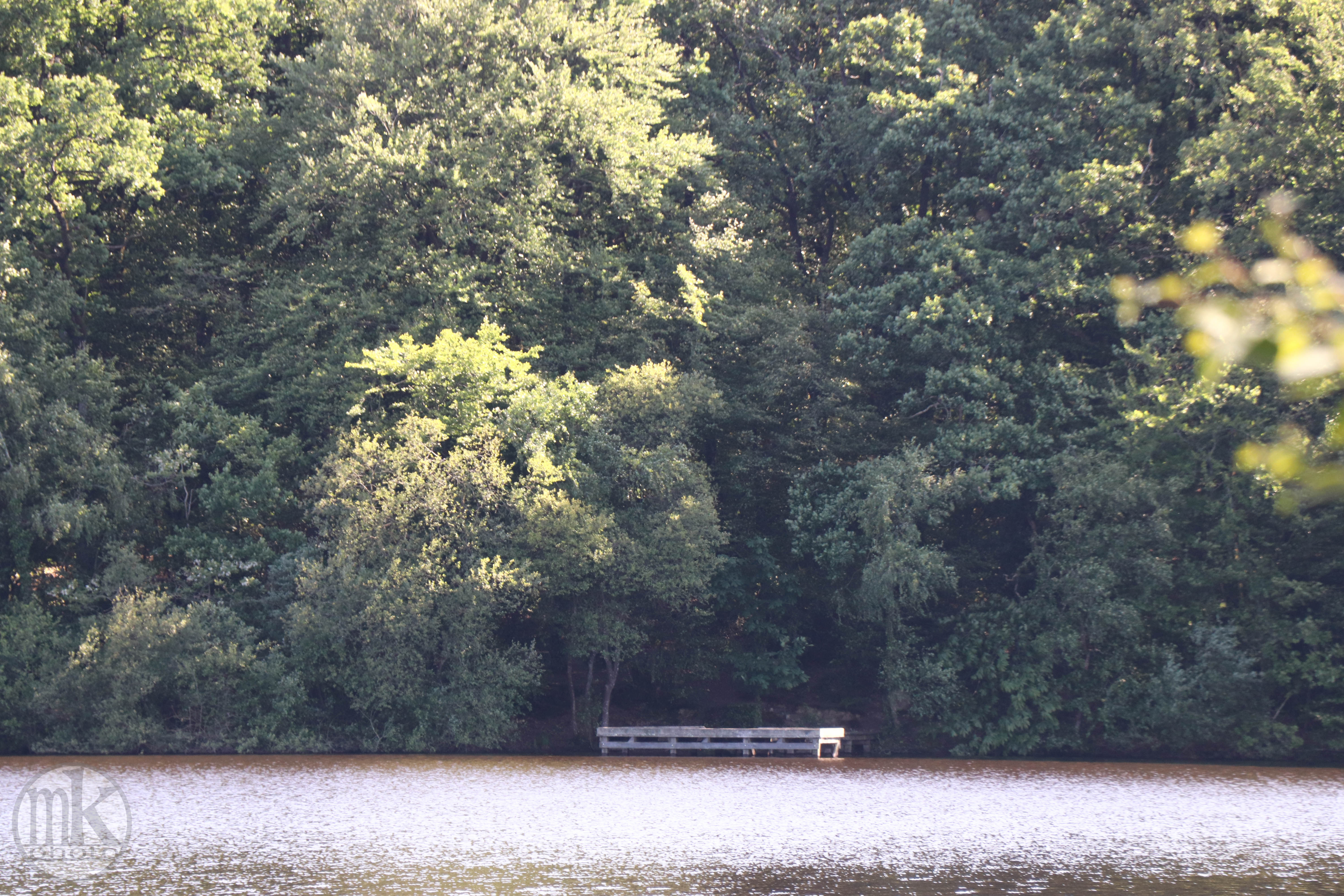 étang de la Corbière, 15 mai 2020, 17-30-35