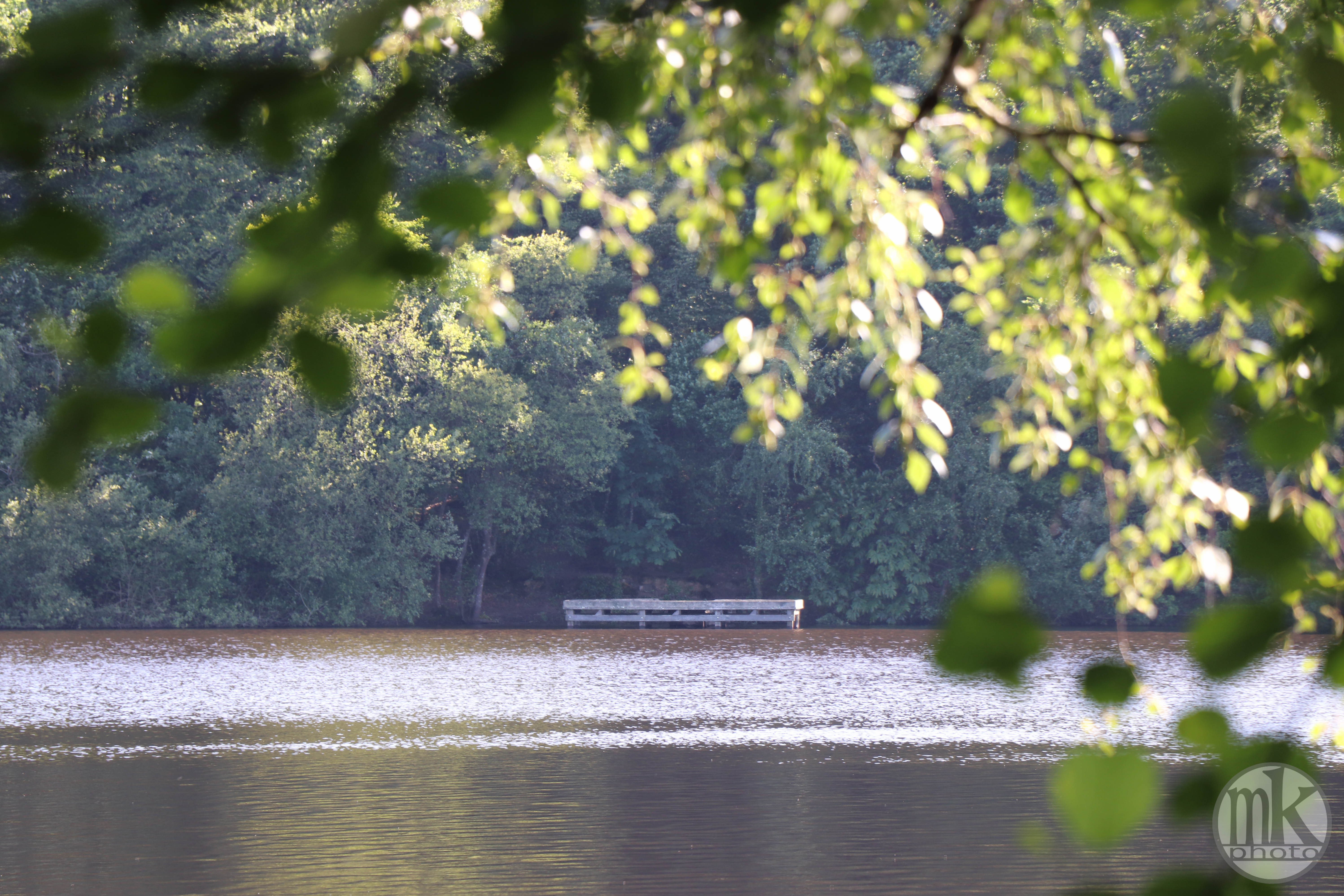 étang de la Corbière, 15 mai 2020, 17-33-18