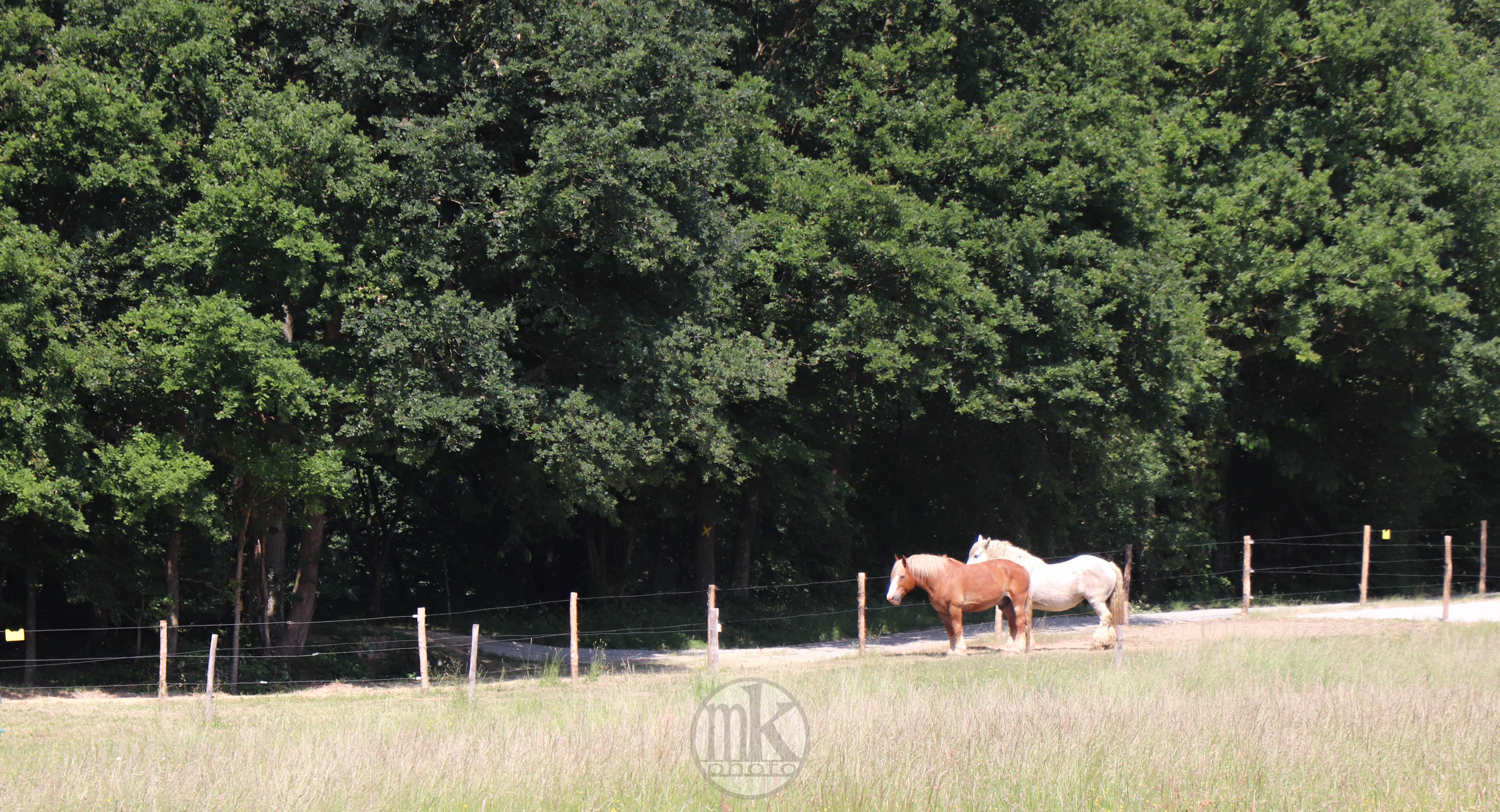château Poitevins mulassiers, Piré s-Seiche, 21 mai 2020, 15h53