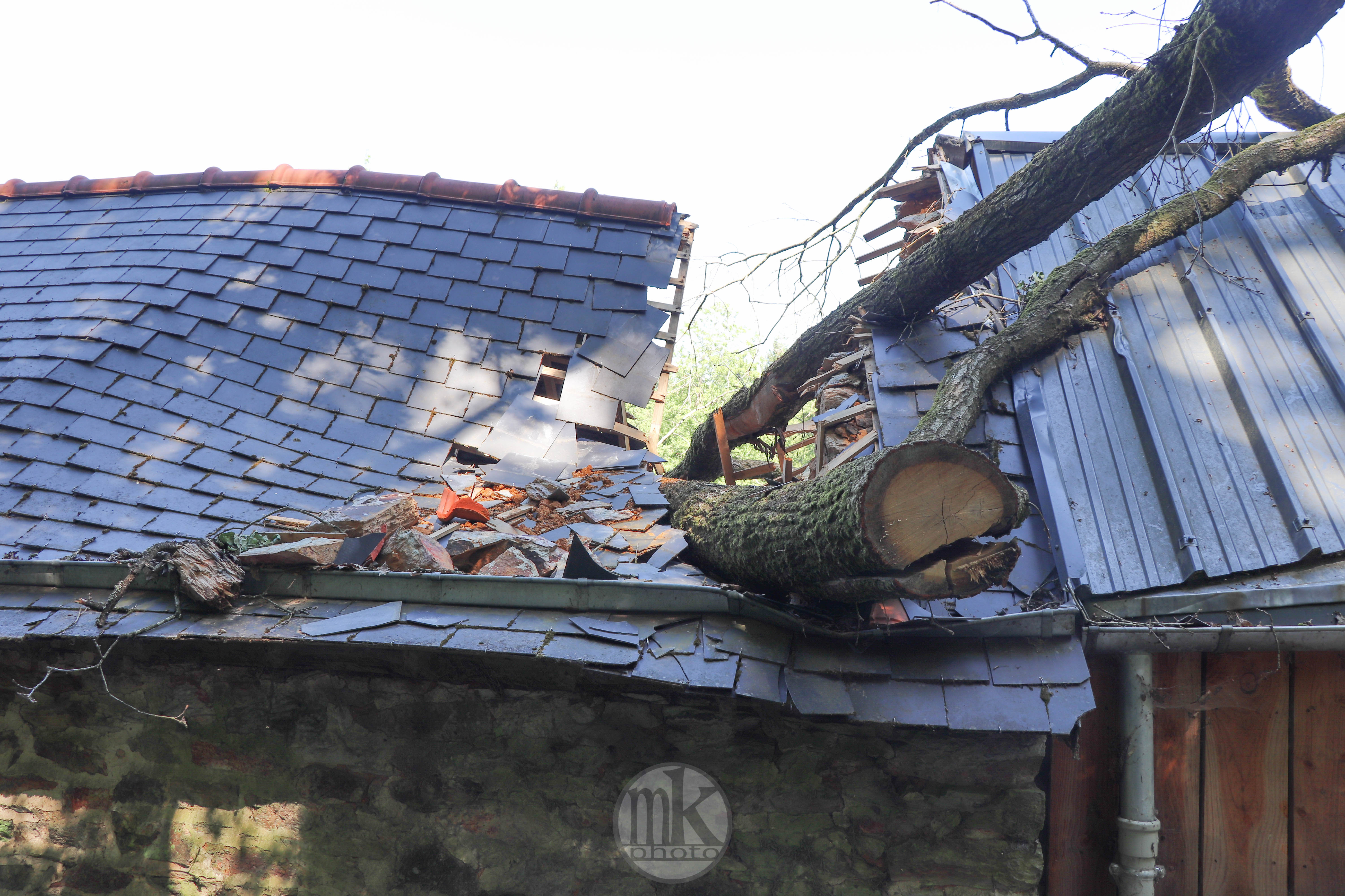 forêt de la Corbière, 15 mai 2020, 15h46-32