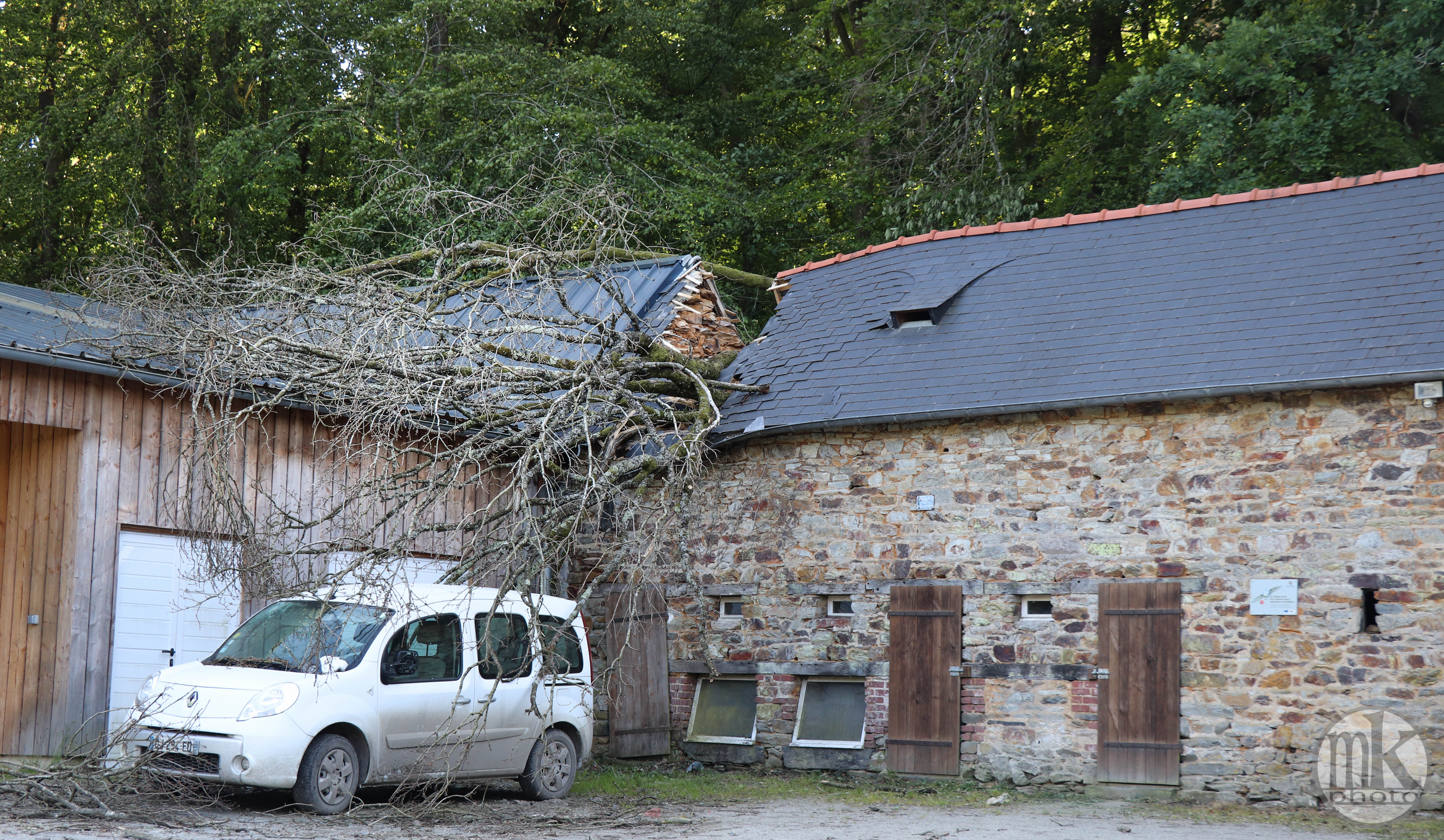 forêt de la Corbière, 15 mai 2020, 18h37