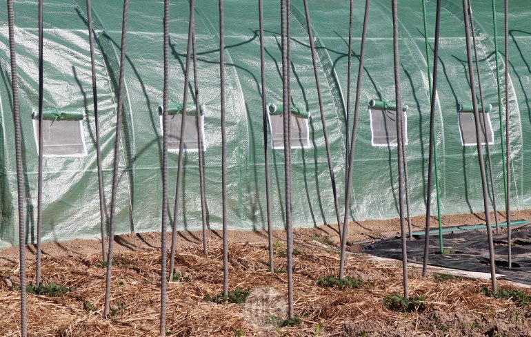 jardins, la bintinais, 24 mai 2020, 17h55-56