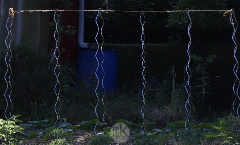 jardins, la bintinais, 24 mai 2020, 18h49-47