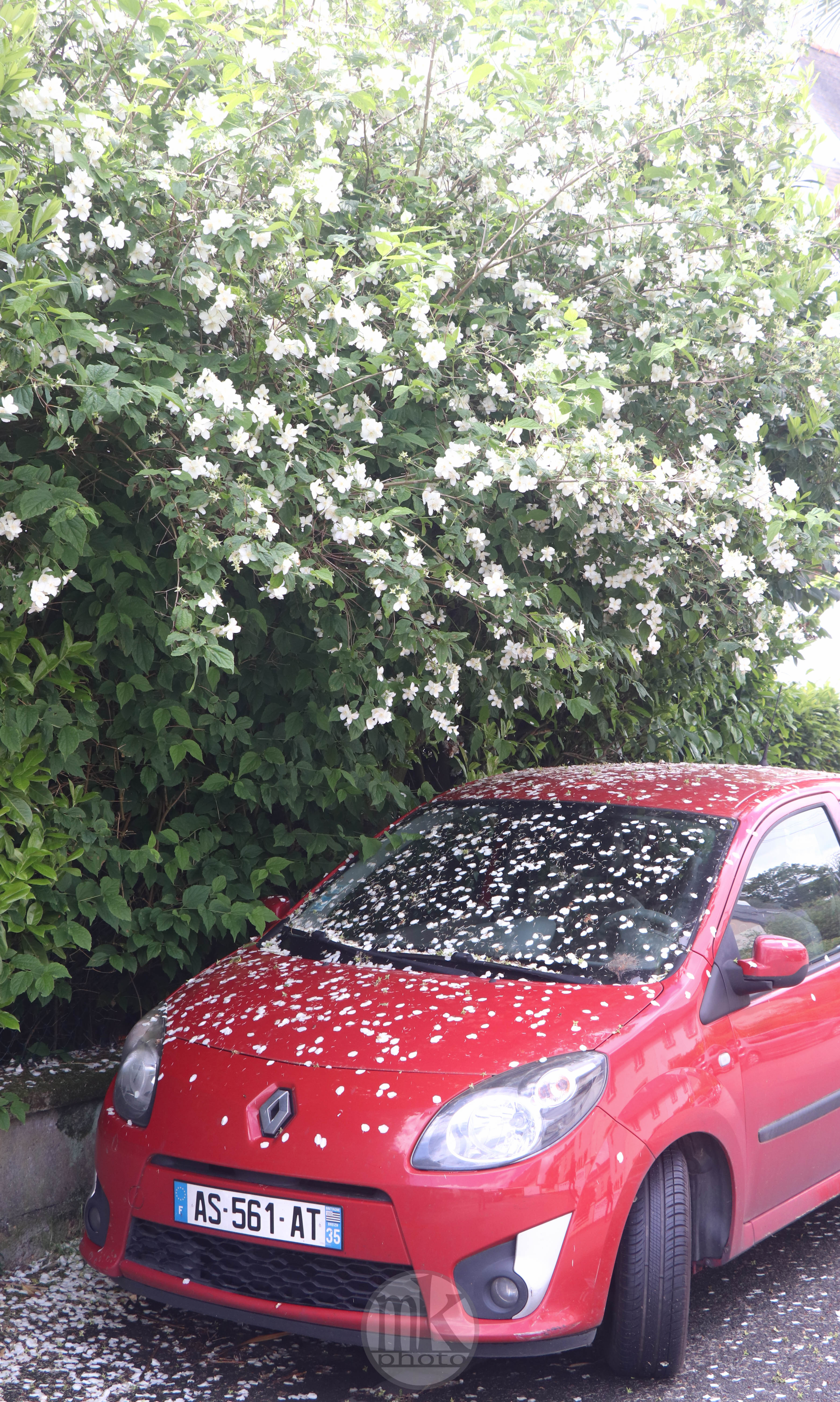 rue louis turban, 1er mai 2020, 12h45