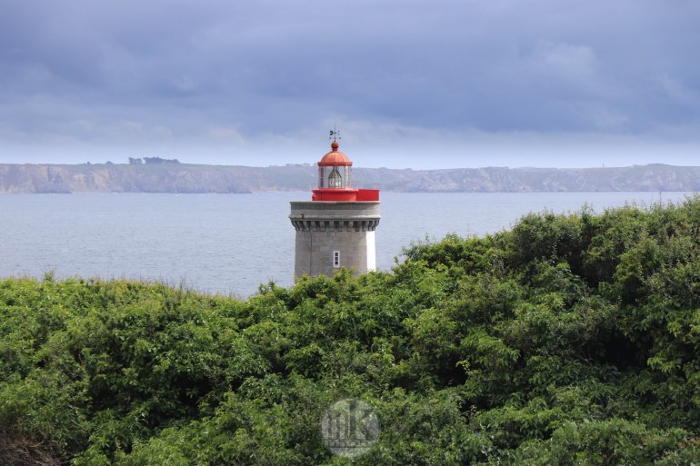 le petit minou, 5 juin 2020, 13-38