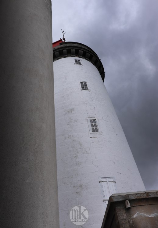 le petit minou, 5 juin 2020, 16-52-09