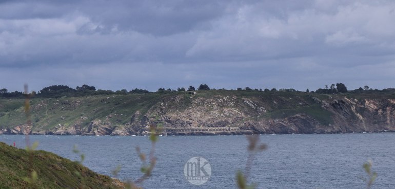 le petit minou, 5 juin 2020, 16h35