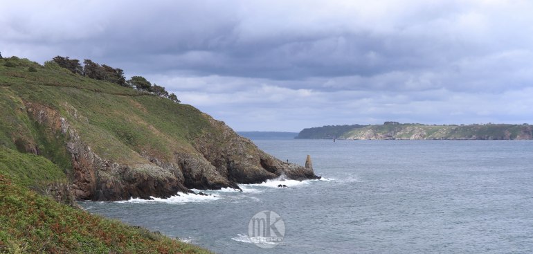 le petit minou, 5 juin 2020, 16h41