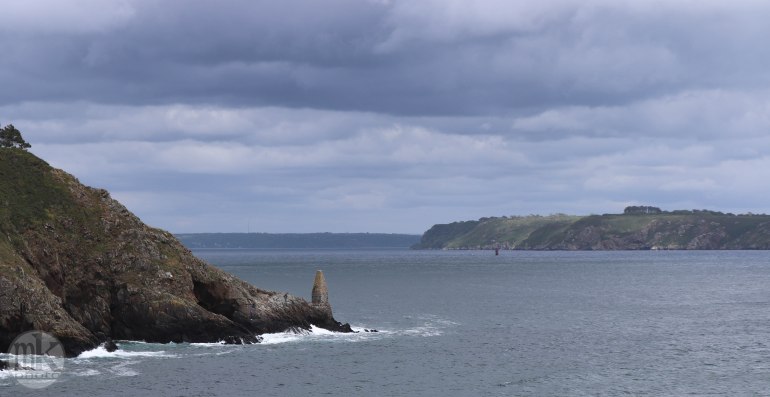 le petit minou, 5 juin 2020, 16h42