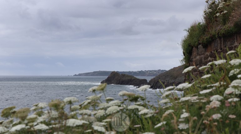 le petit minou, 5 juin 2020, 16h43