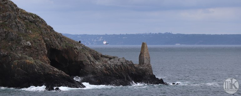 le petit minou, 5 juin 2020, 16h46