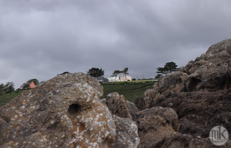 le petit minou, 5 juin 2020, 16h48